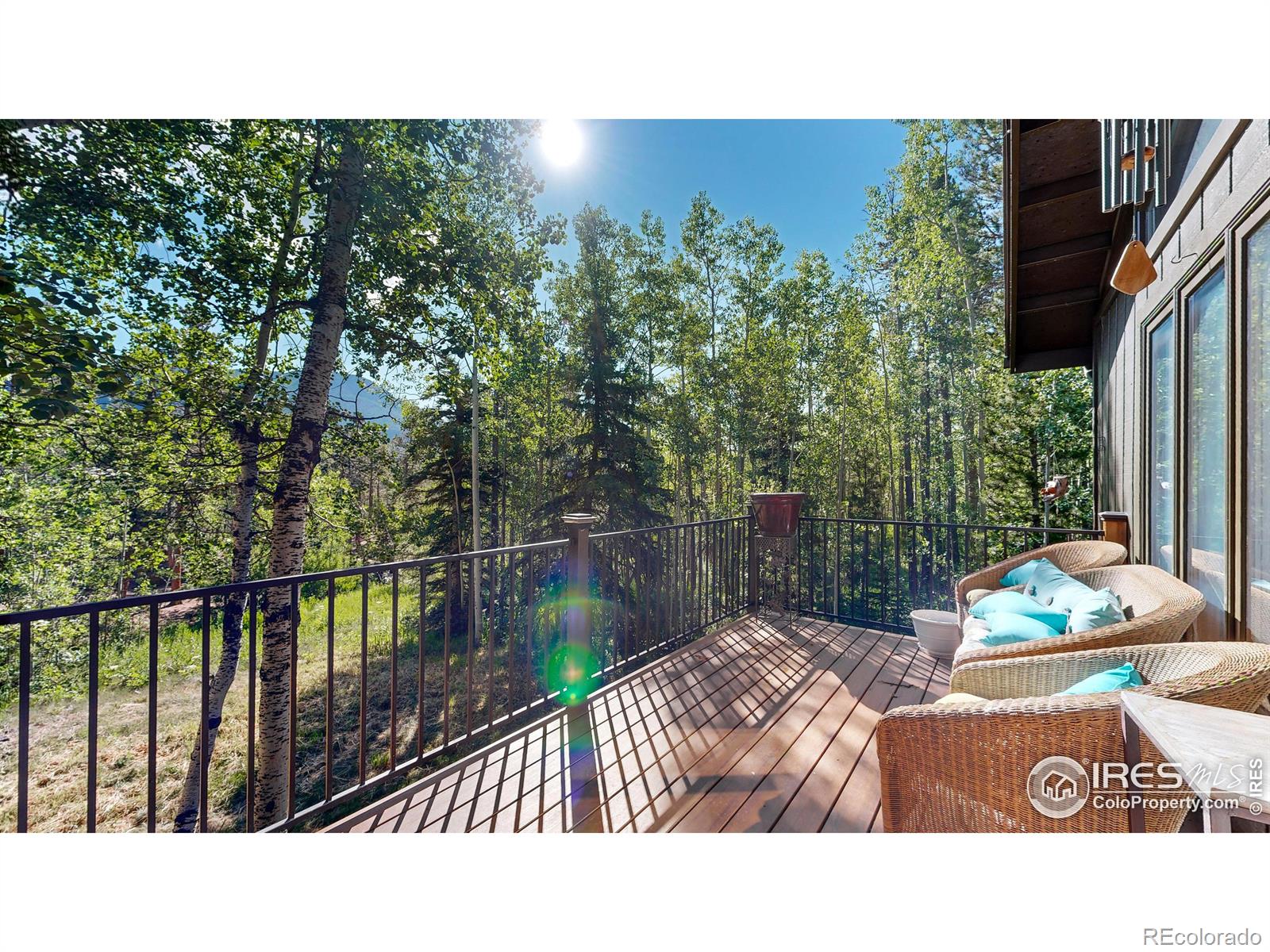 MLS Image #5 for 10329  highway 7 ,allenspark, Colorado