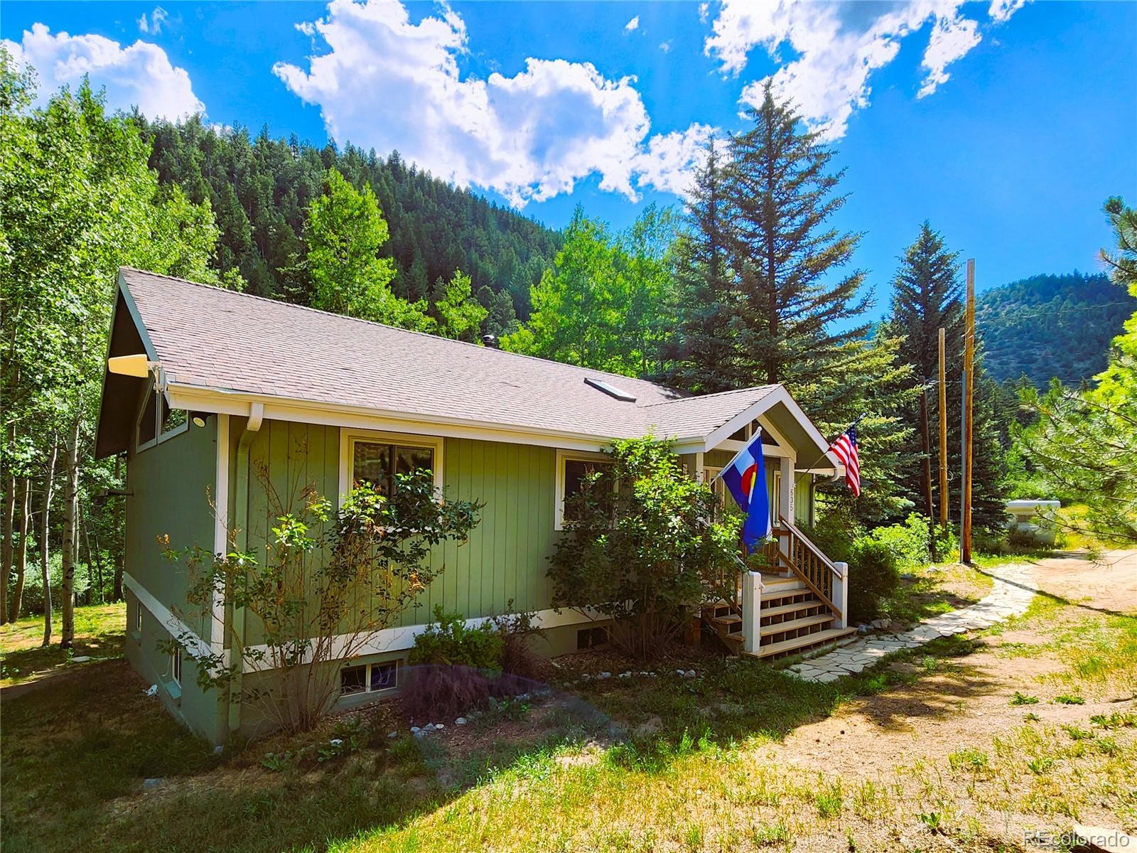 MLS Image #13 for 635  mill creek road,dumont, Colorado