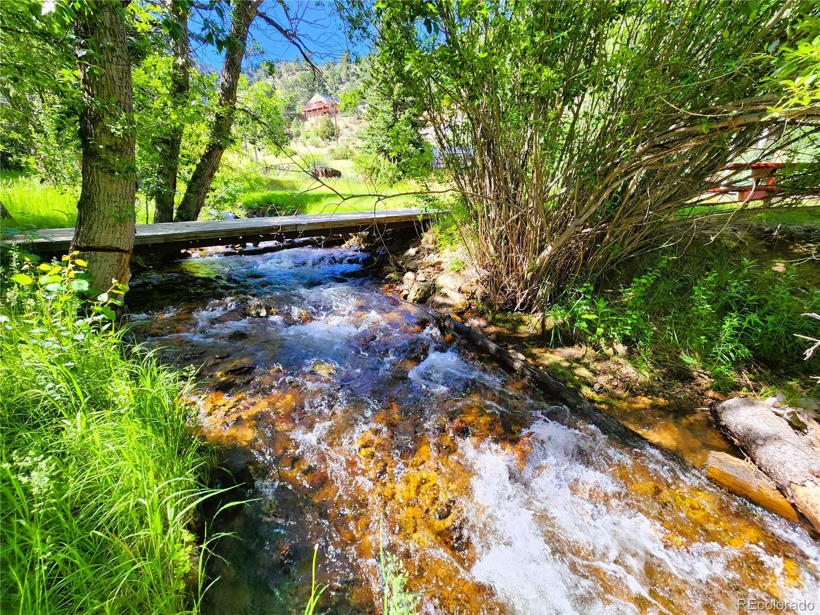 MLS Image #15 for 635  mill creek road,dumont, Colorado