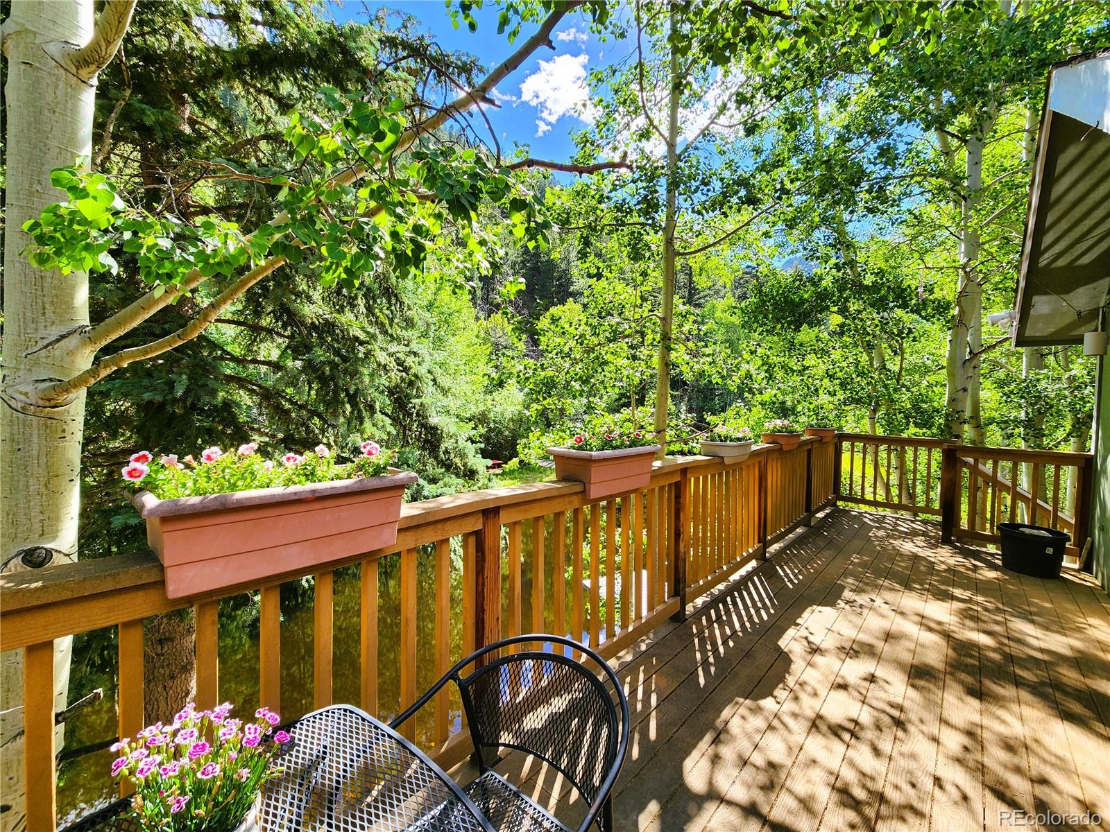 MLS Image #22 for 635  mill creek road,dumont, Colorado