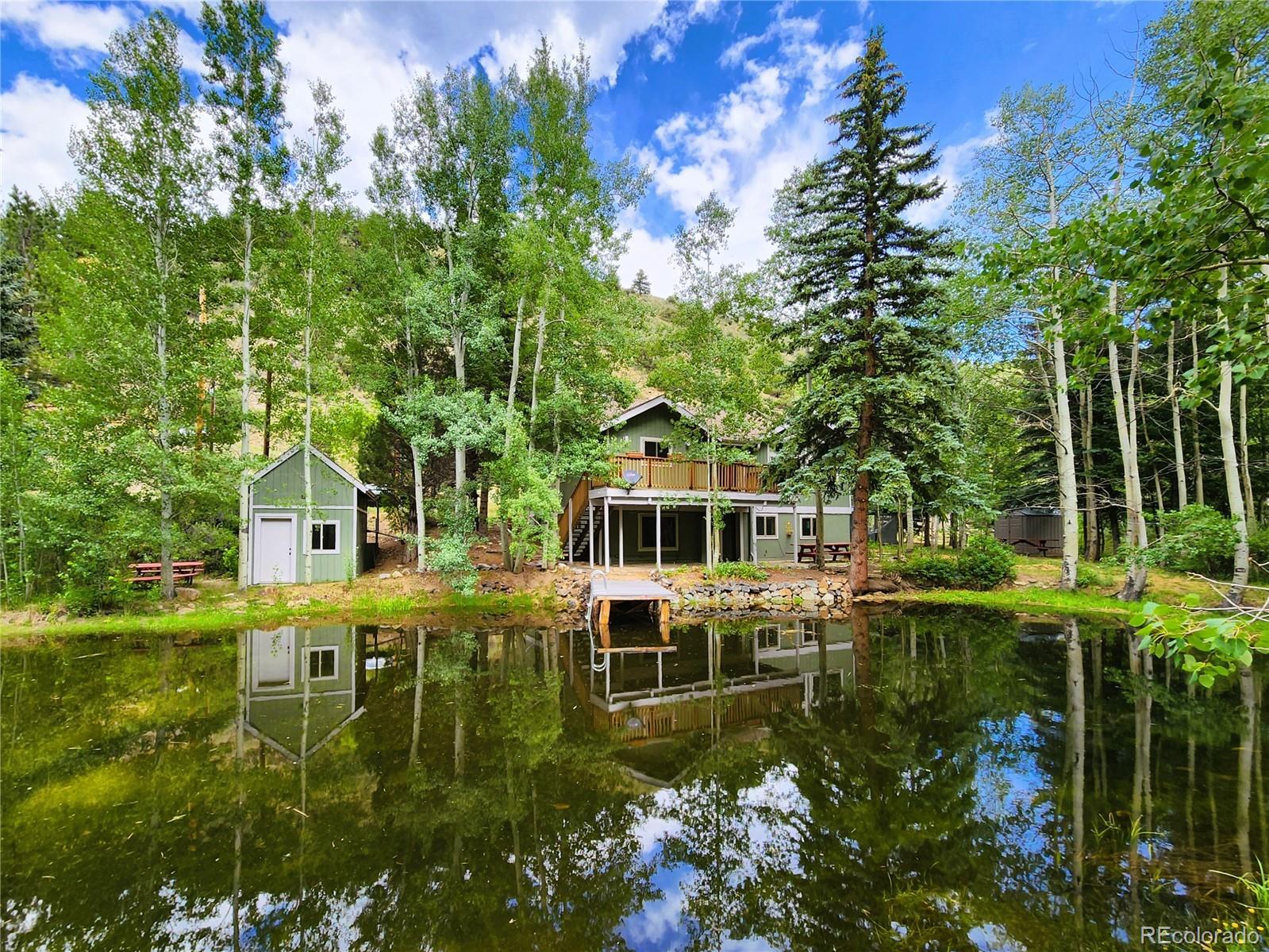 MLS Image #3 for 635  mill creek road,dumont, Colorado