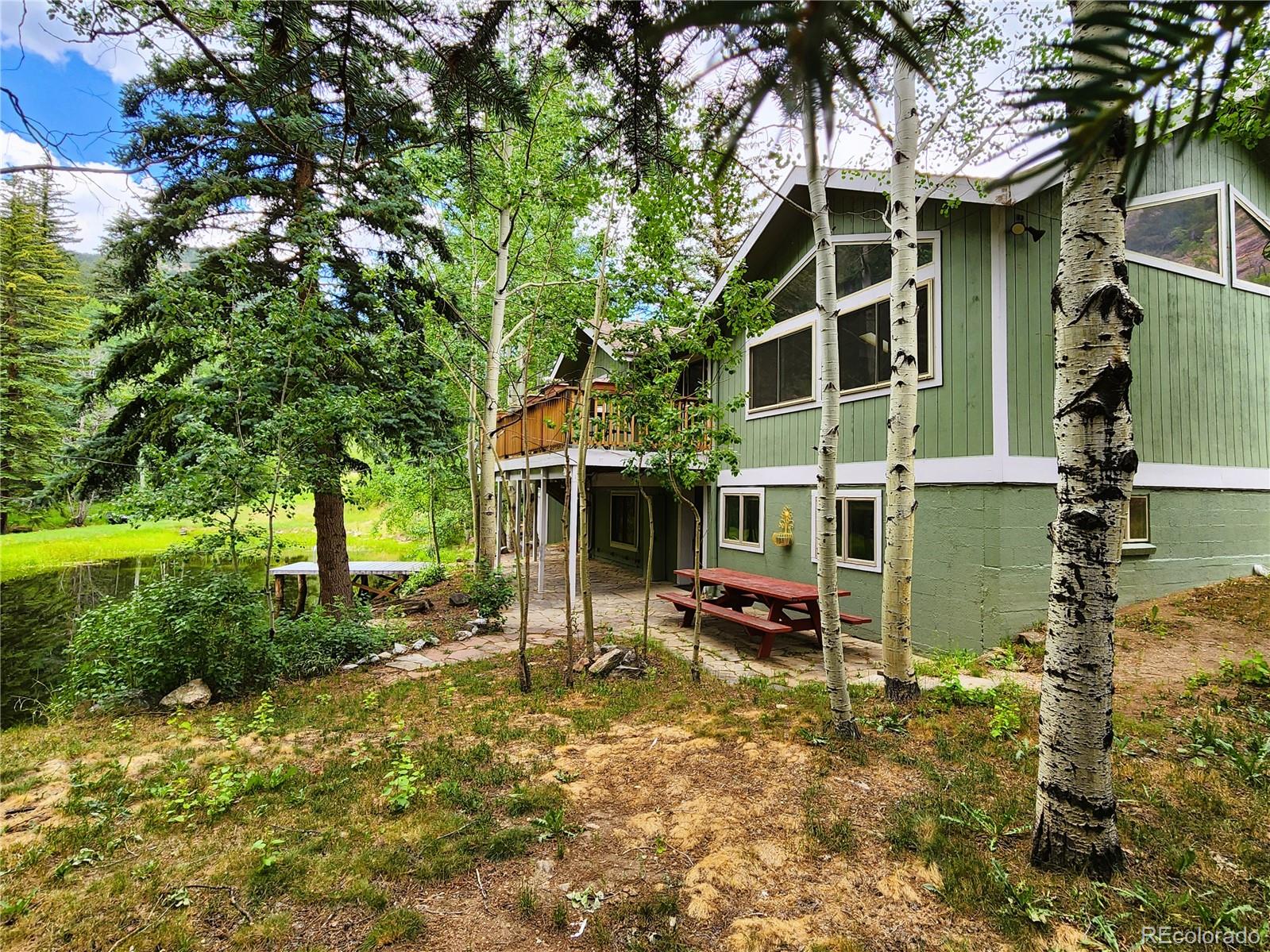 MLS Image #48 for 635  mill creek road,dumont, Colorado