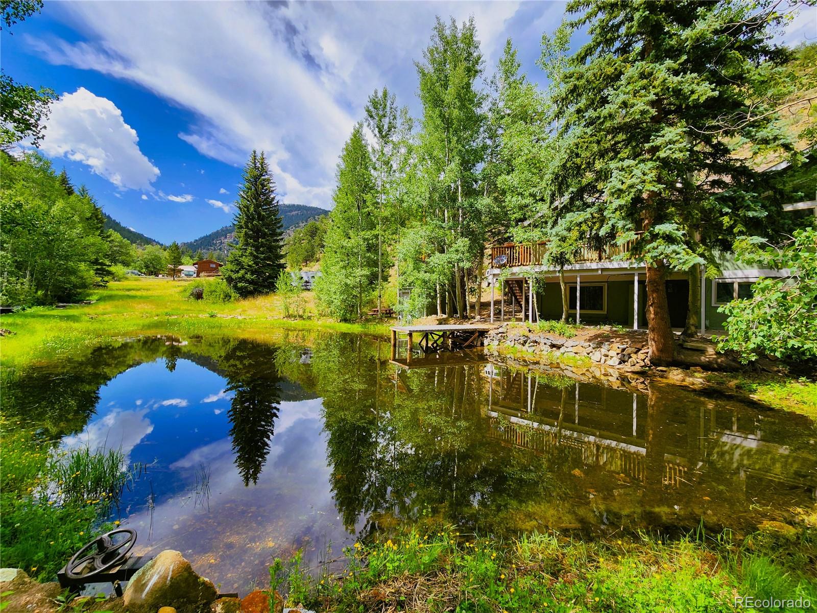 MLS Image #6 for 635  mill creek road,dumont, Colorado