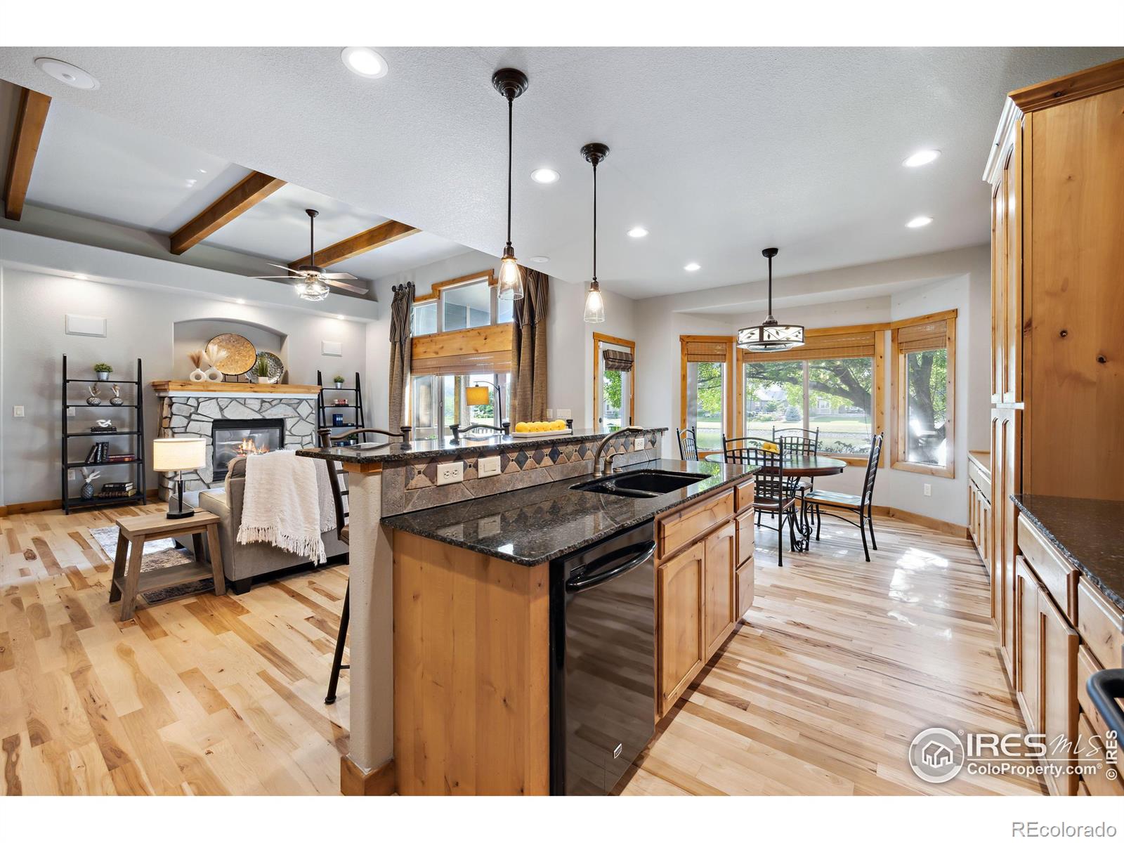 MLS Image #10 for 1039  hessen drive,fort collins, Colorado