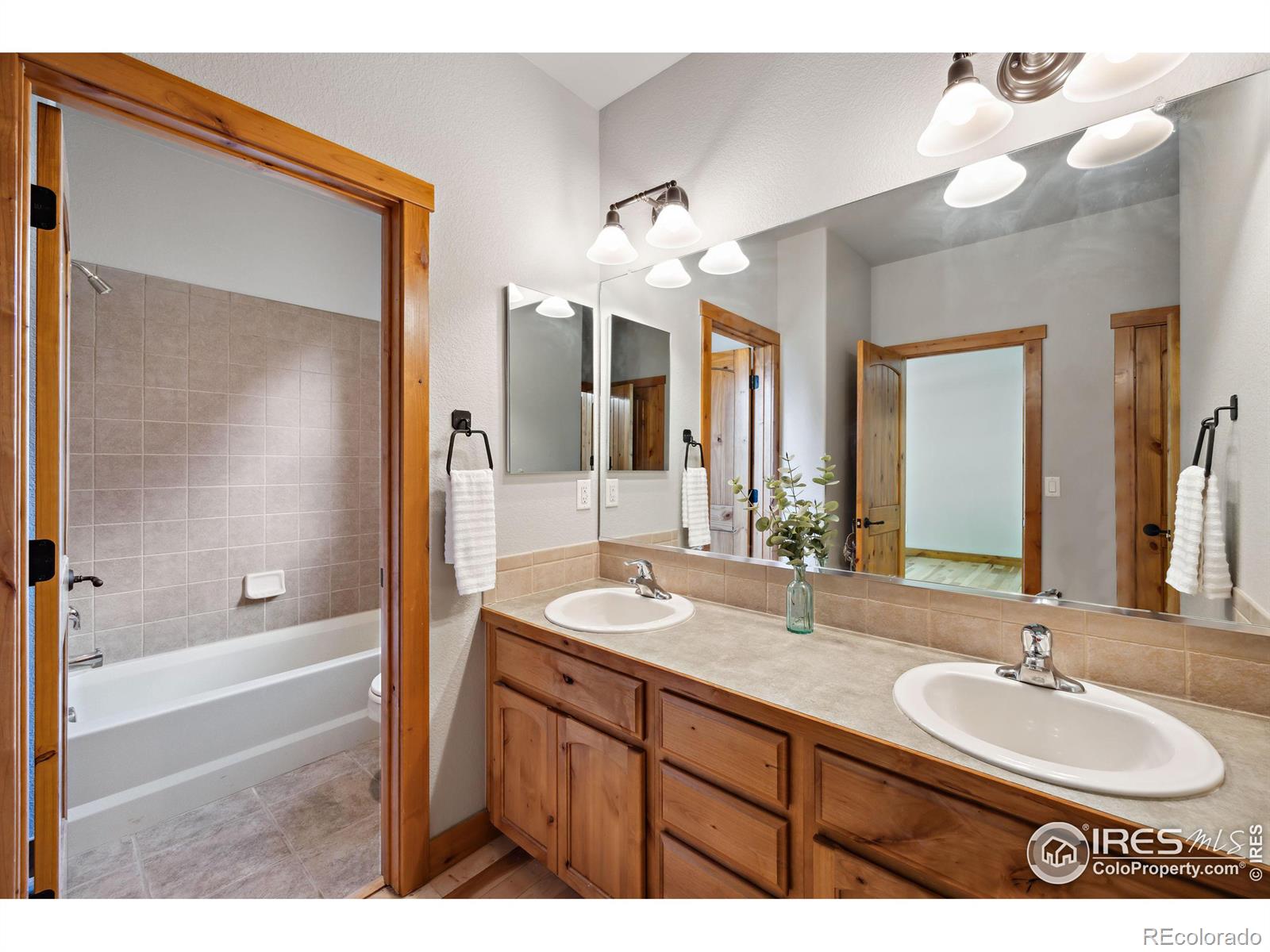 MLS Image #20 for 1039  hessen drive,fort collins, Colorado