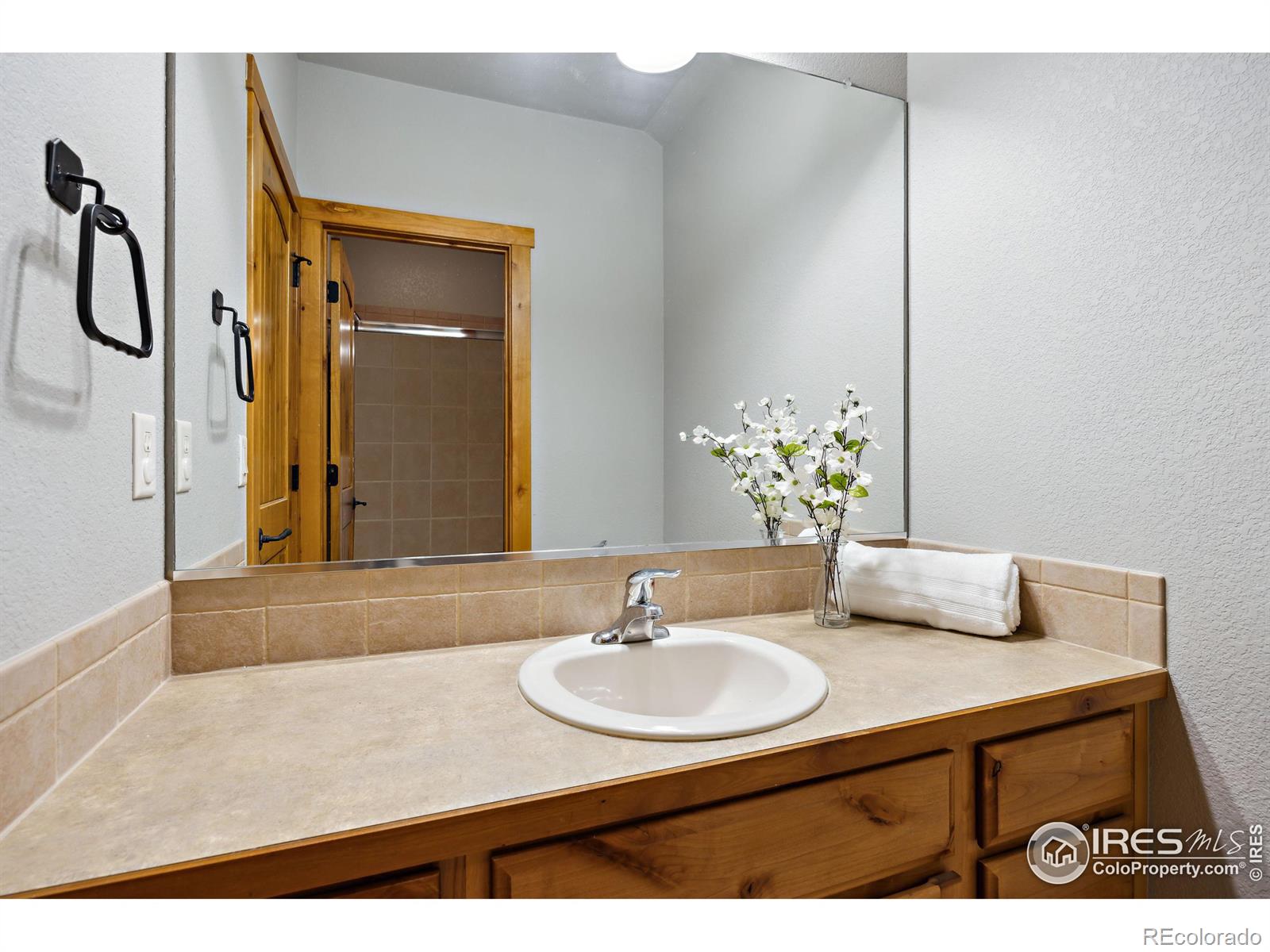 MLS Image #30 for 1039  hessen drive,fort collins, Colorado