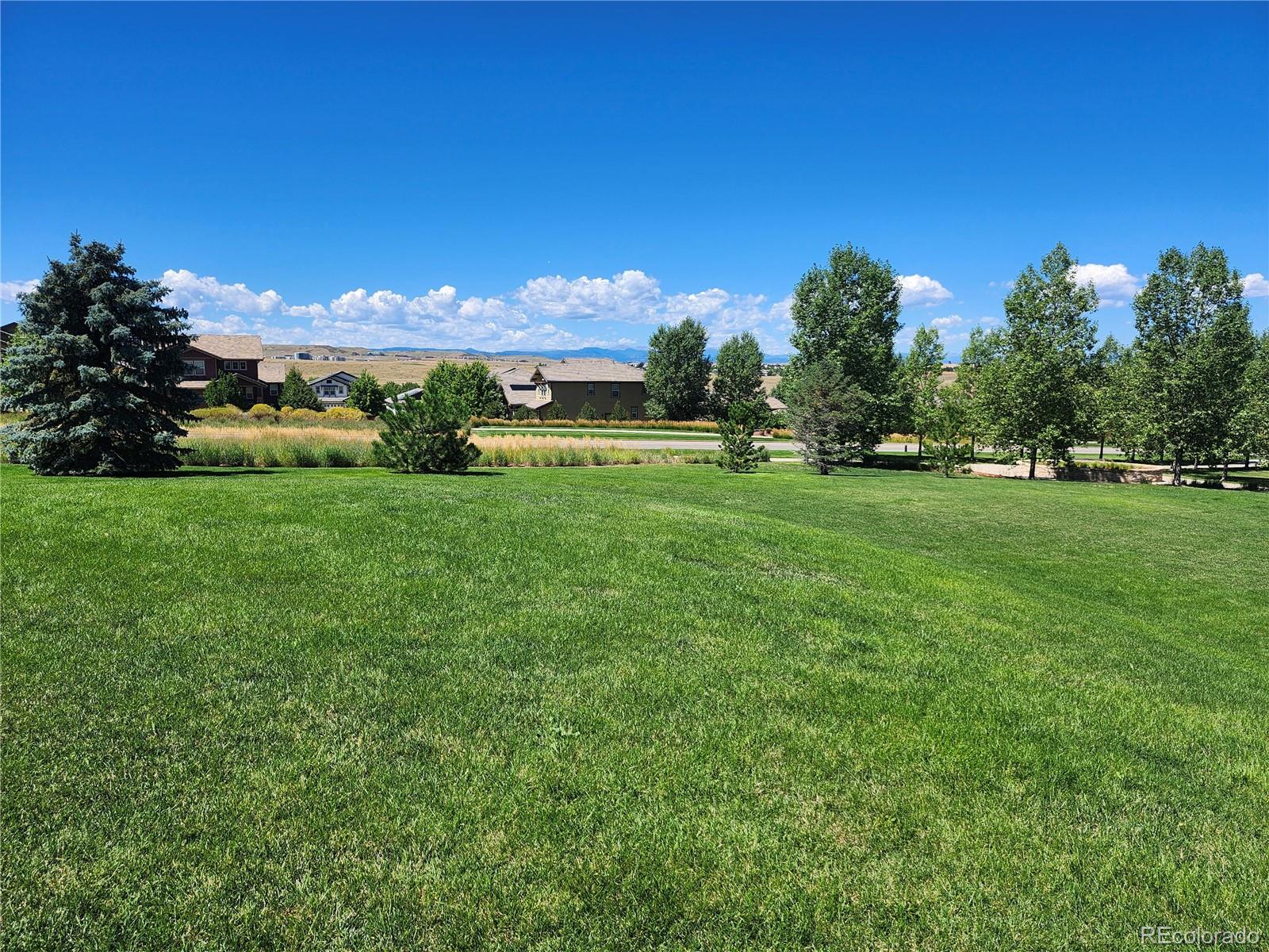 MLS Image #30 for 10337  bristleridge court,parker, Colorado