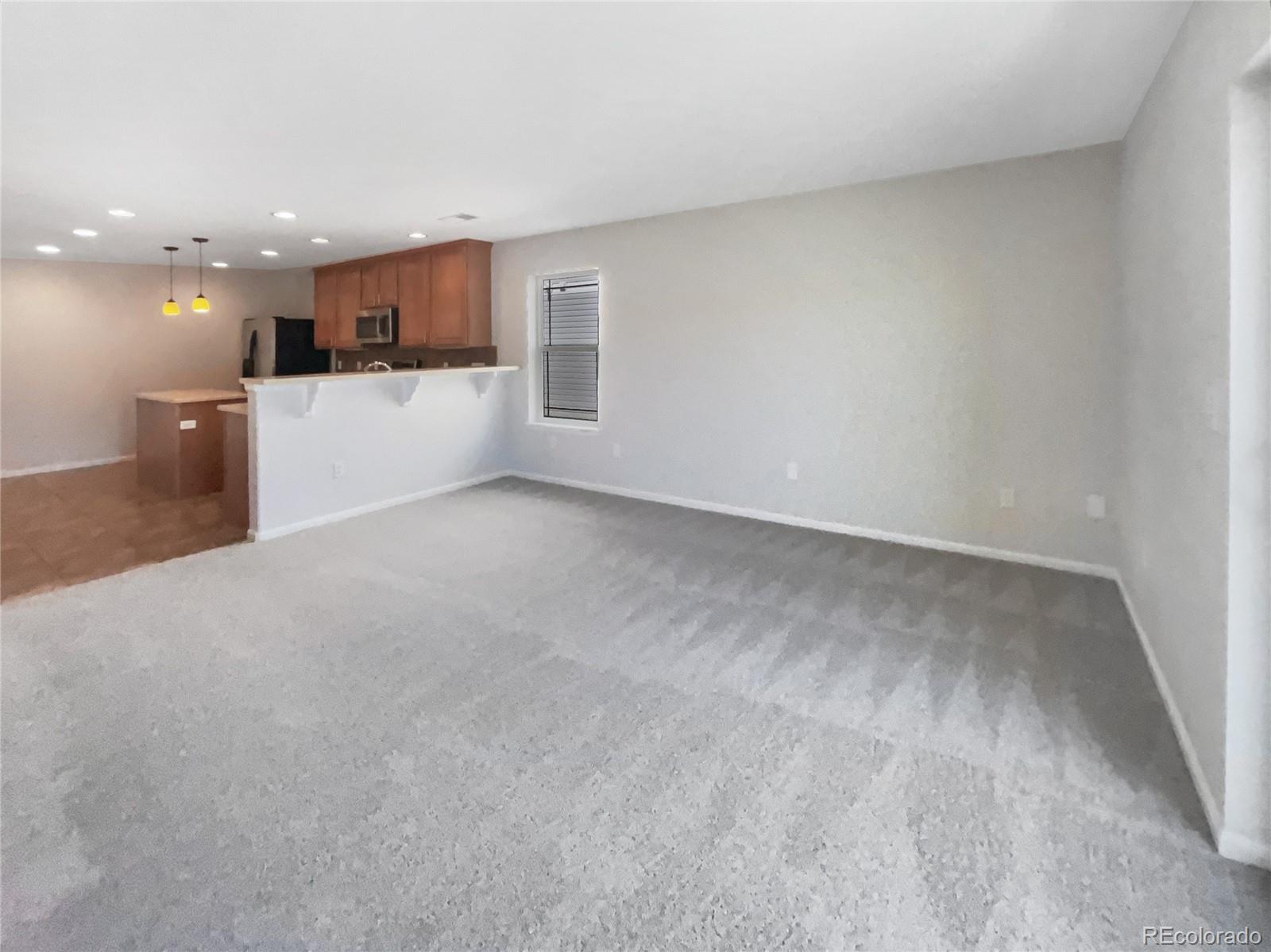 MLS Image #12 for 21041  lackland place,denver, Colorado