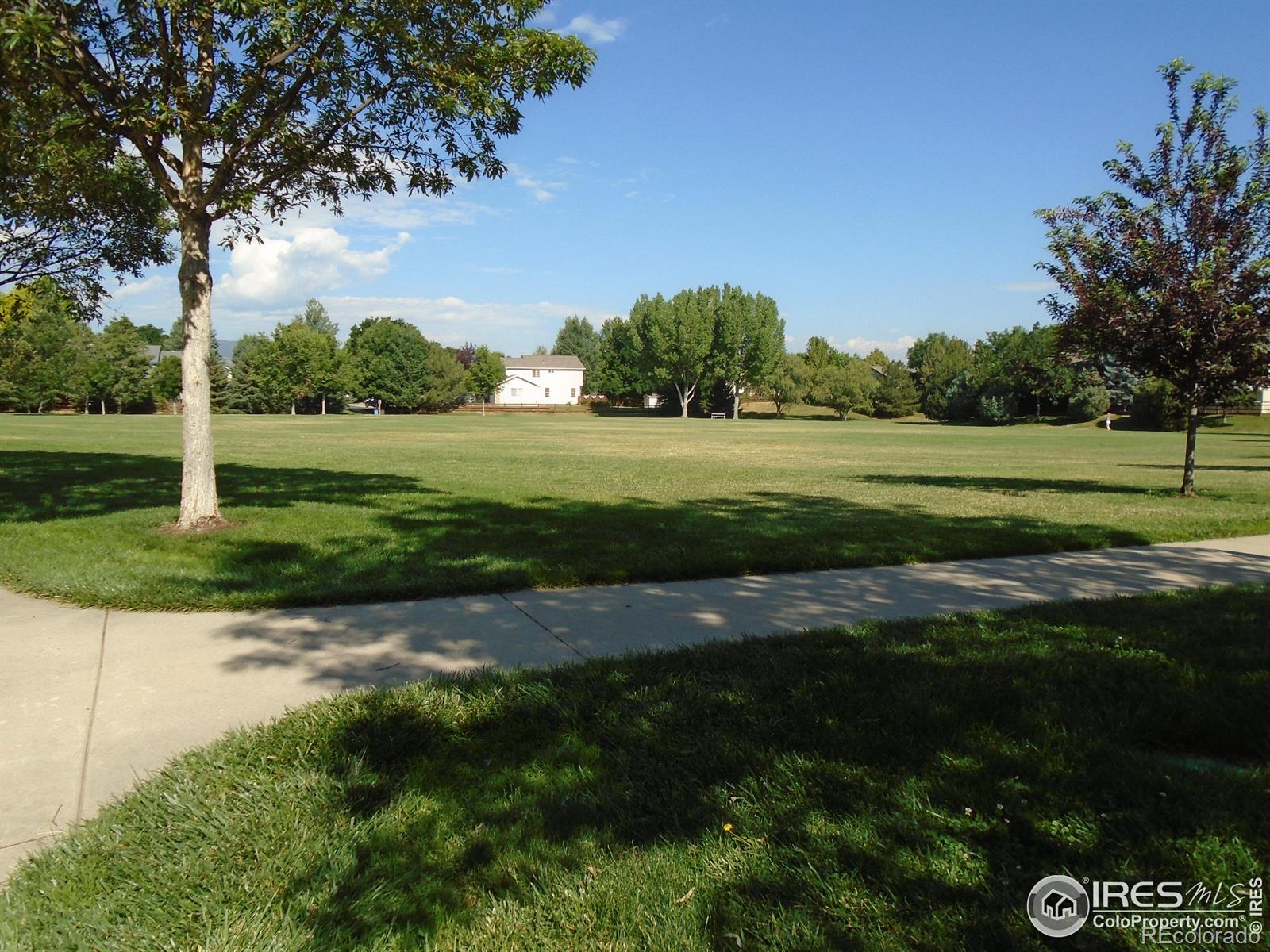 MLS Image #38 for 6933  sedgwick drive,fort collins, Colorado