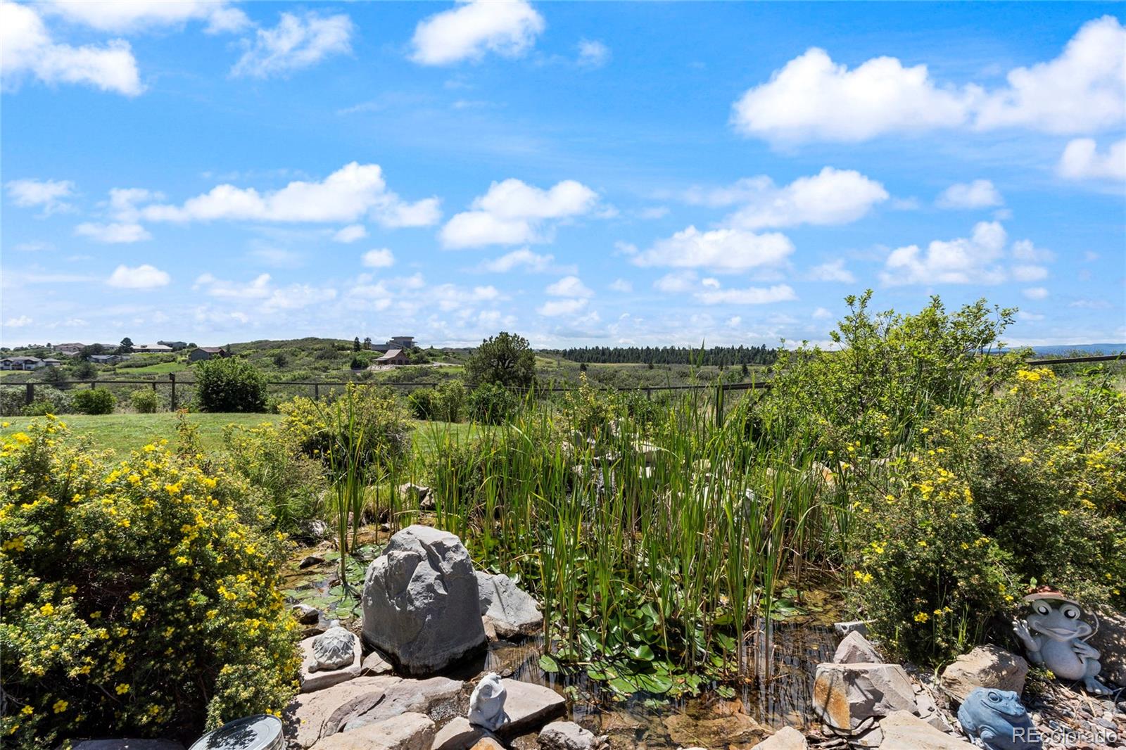 MLS Image #19 for 3665  plum creek parkway,castle rock, Colorado