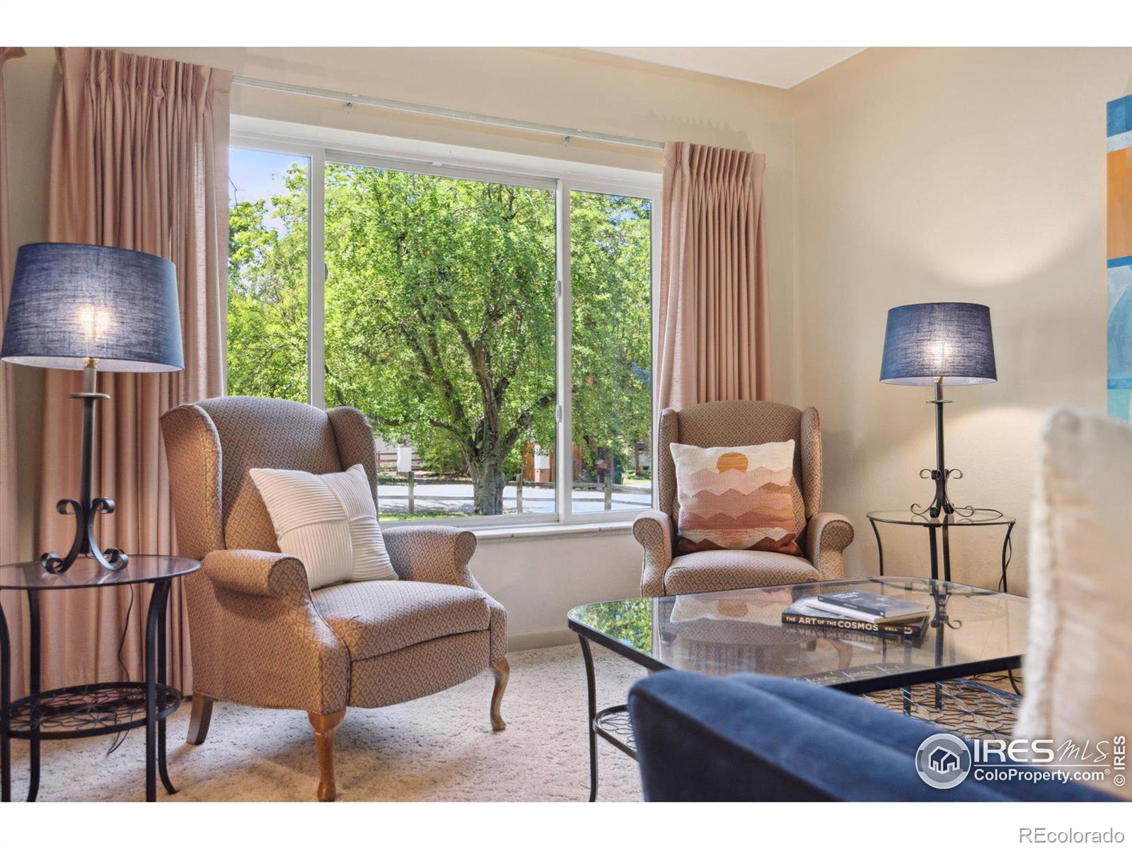 MLS Image #4 for 1220  meadowsweet road,golden, Colorado