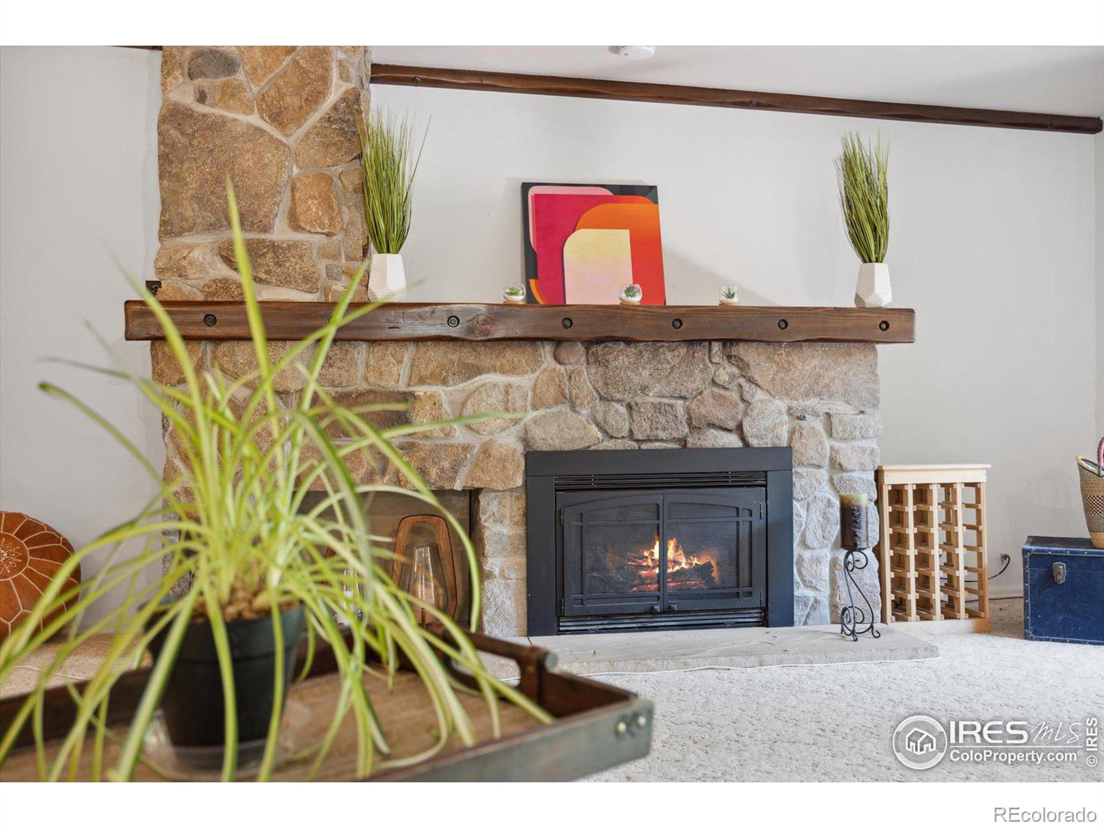 MLS Image #9 for 1220  meadowsweet road,golden, Colorado