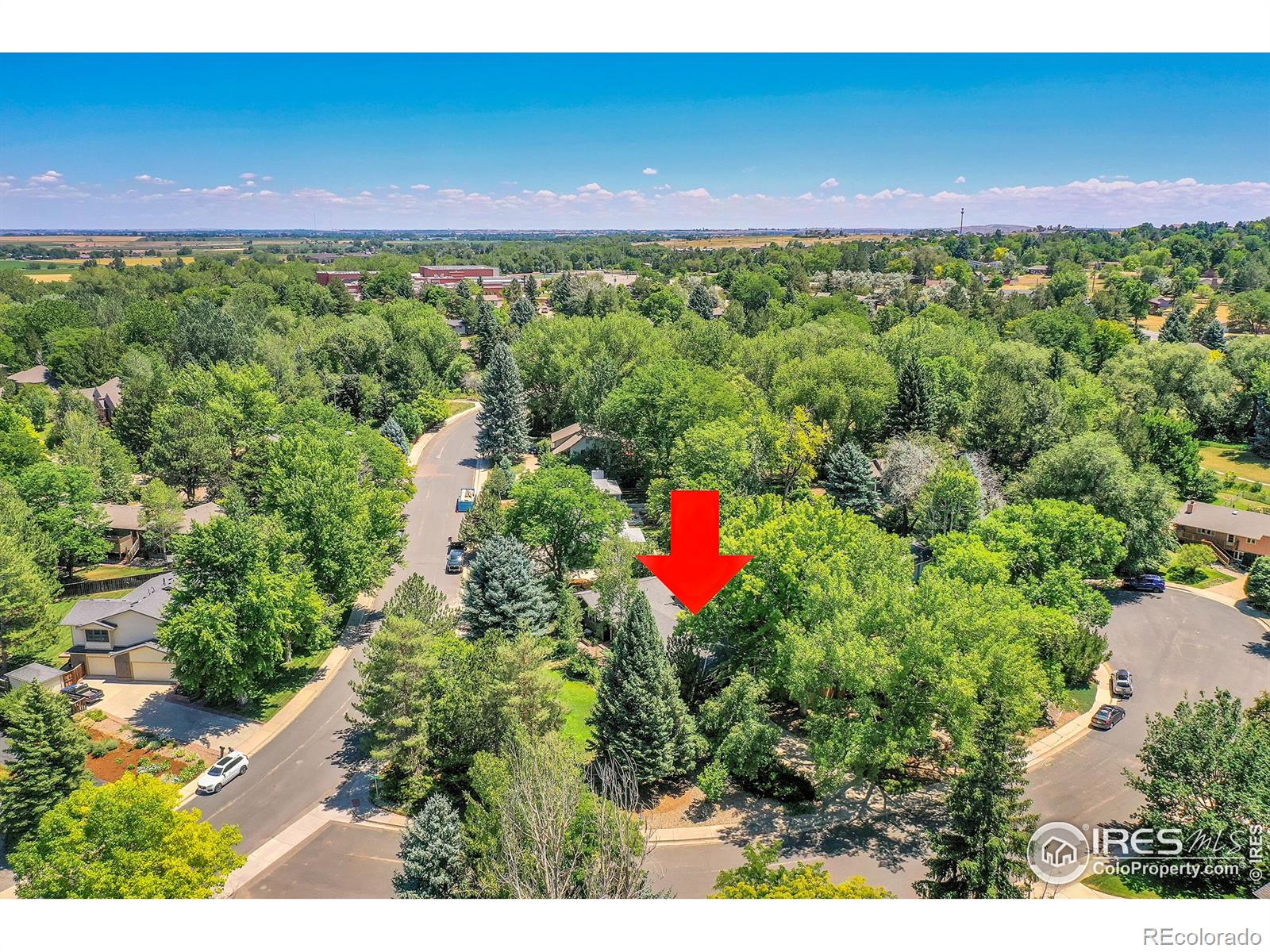 MLS Image #37 for 7147  overbrook drive,niwot, Colorado