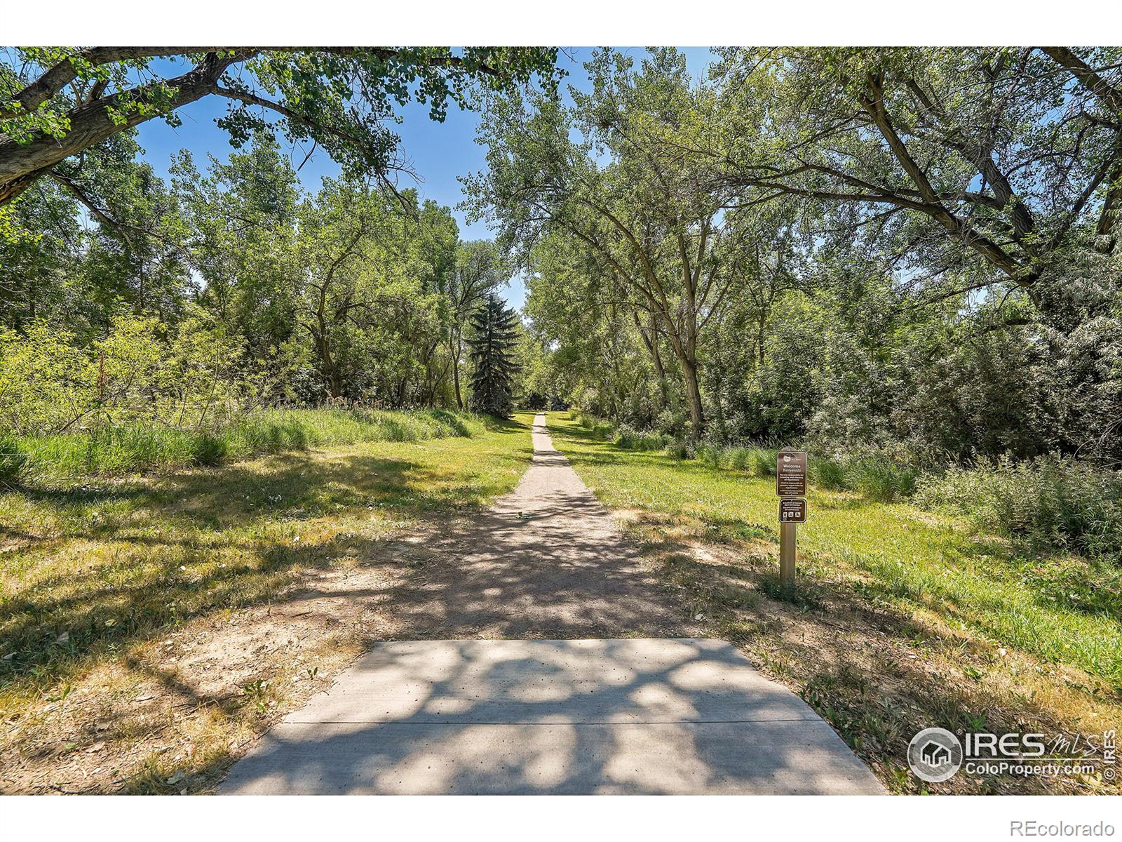 MLS Image #39 for 7147  overbrook drive,niwot, Colorado