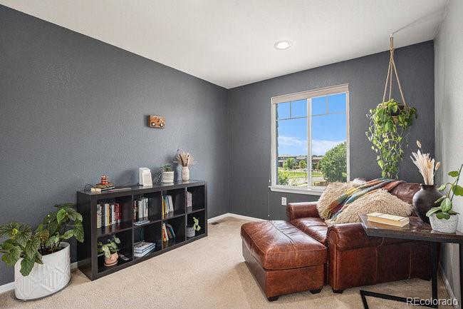 MLS Image #19 for 10106  ventura street,commerce city, Colorado