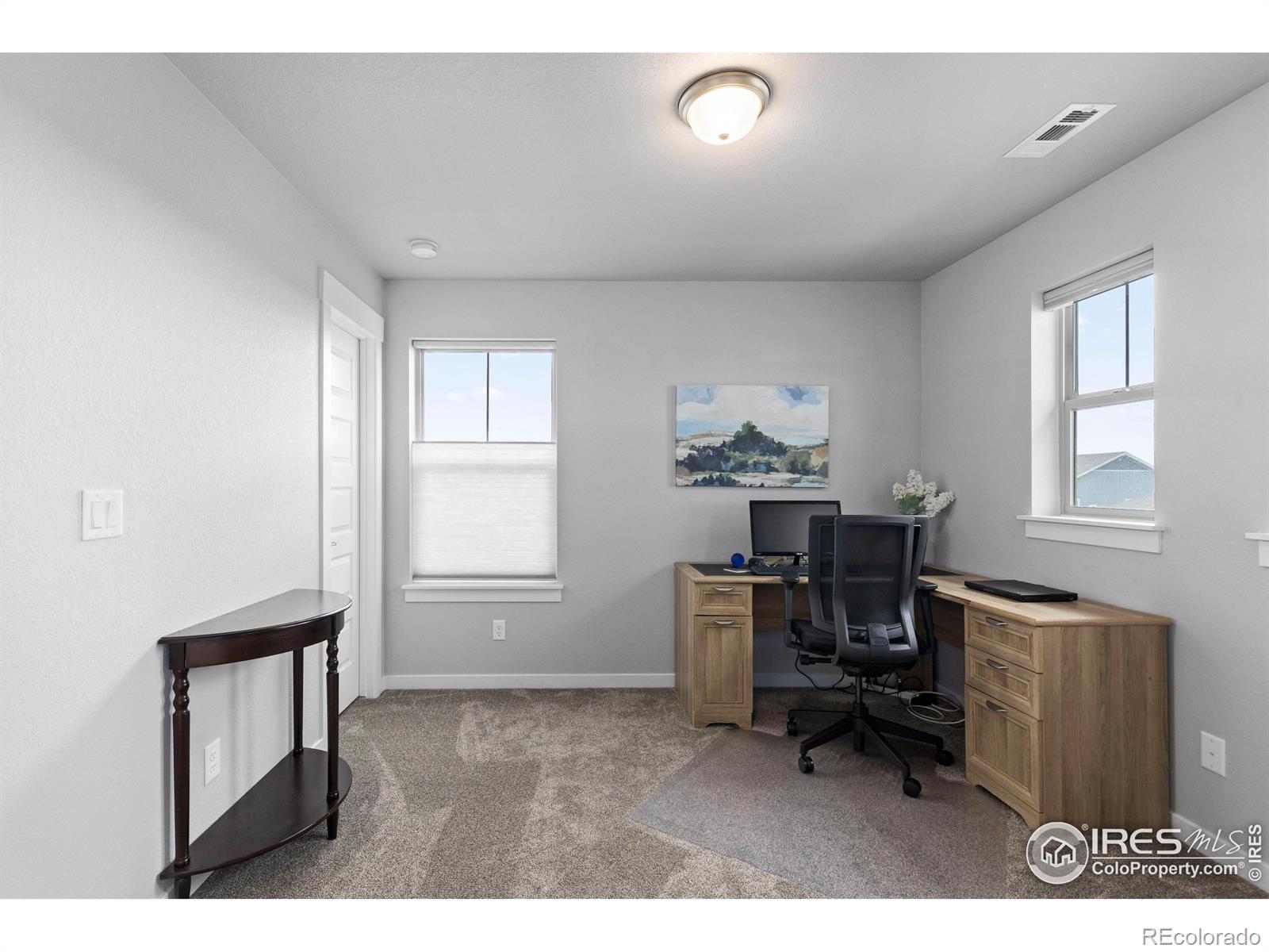 MLS Image #28 for 195  lake park drive,loveland, Colorado