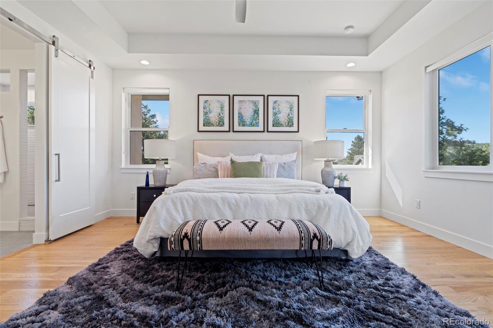 MLS Image #19 for 2164  avenida del sol ,castle rock, Colorado