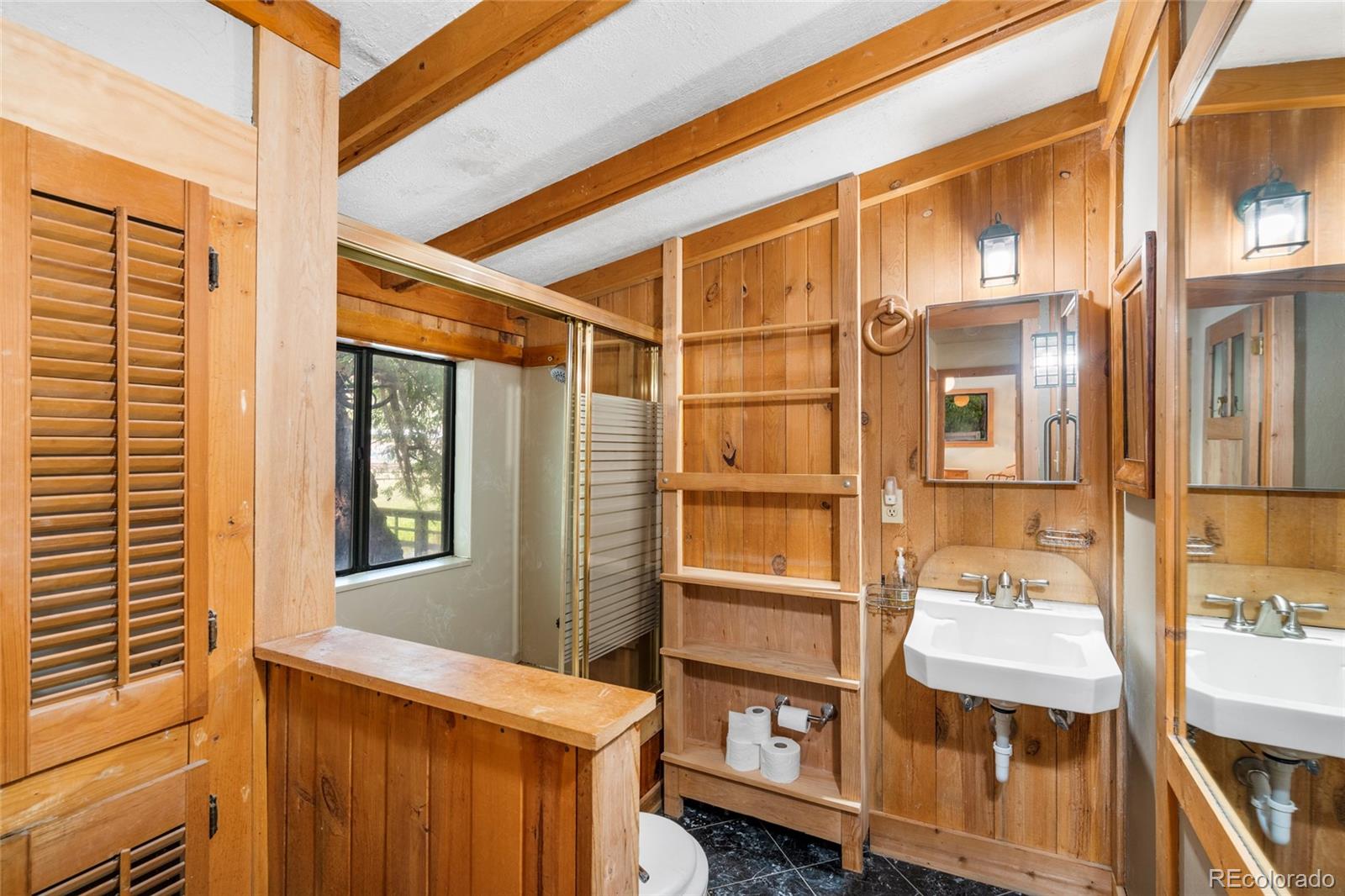 MLS Image #18 for 26285  columbine trail,kittredge, Colorado