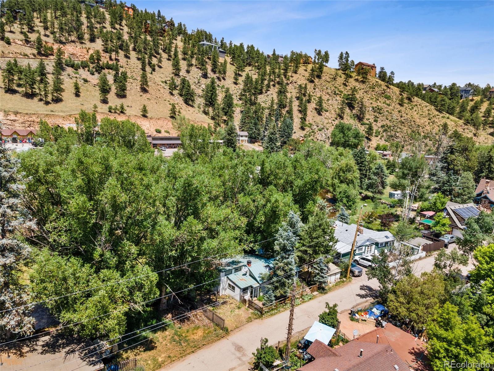 MLS Image #22 for 26285  columbine trail,kittredge, Colorado