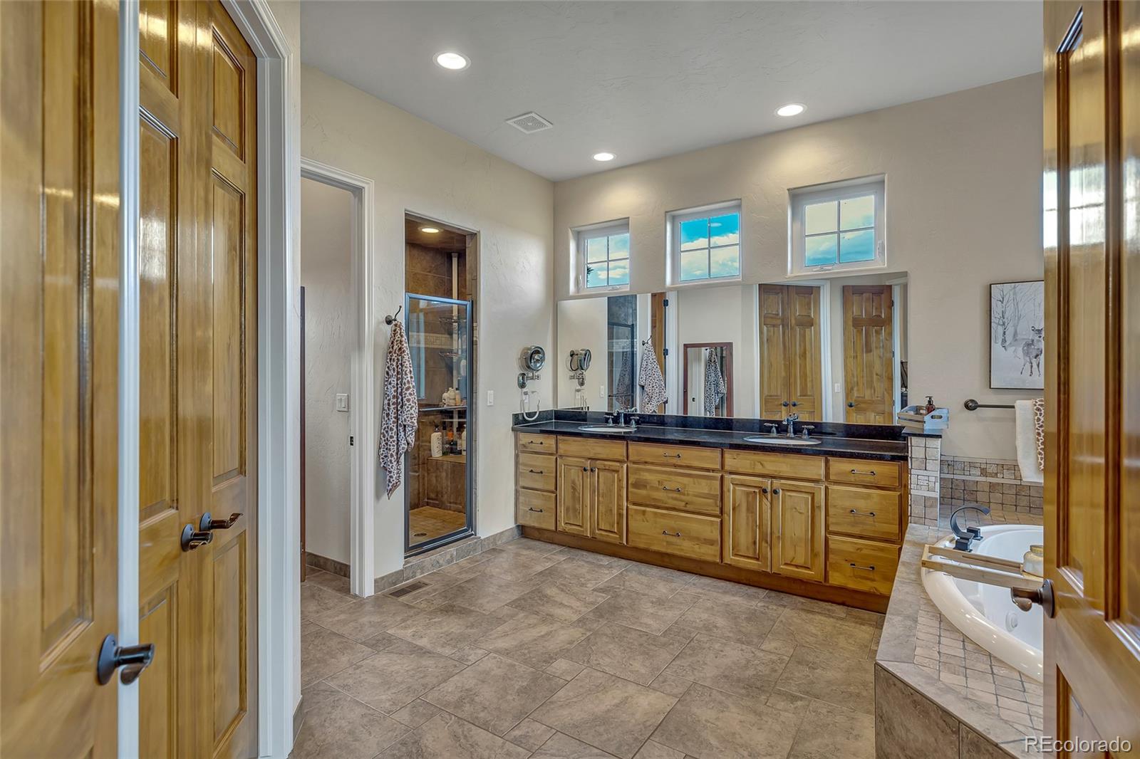 MLS Image #18 for 5044  starry sky way,parker, Colorado