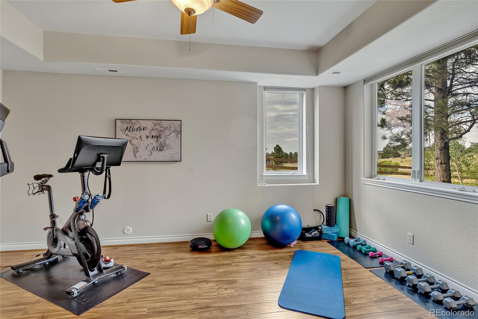 MLS Image #28 for 5044  starry sky way,parker, Colorado