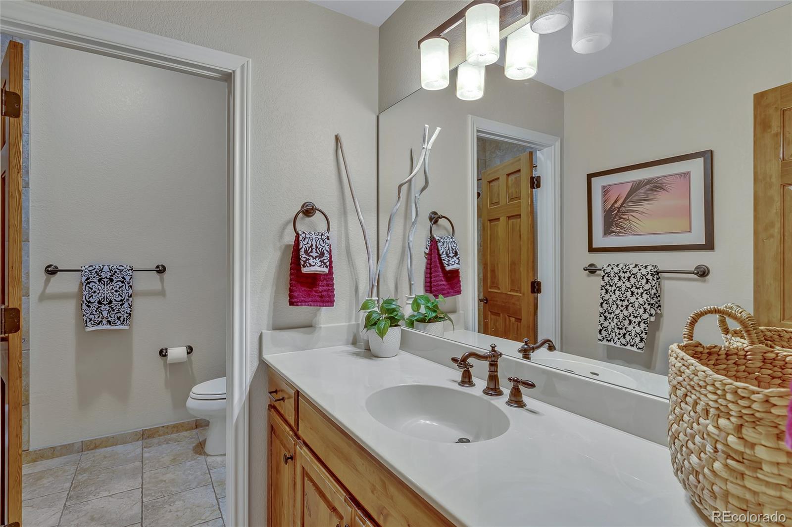 MLS Image #29 for 5044  starry sky way,parker, Colorado