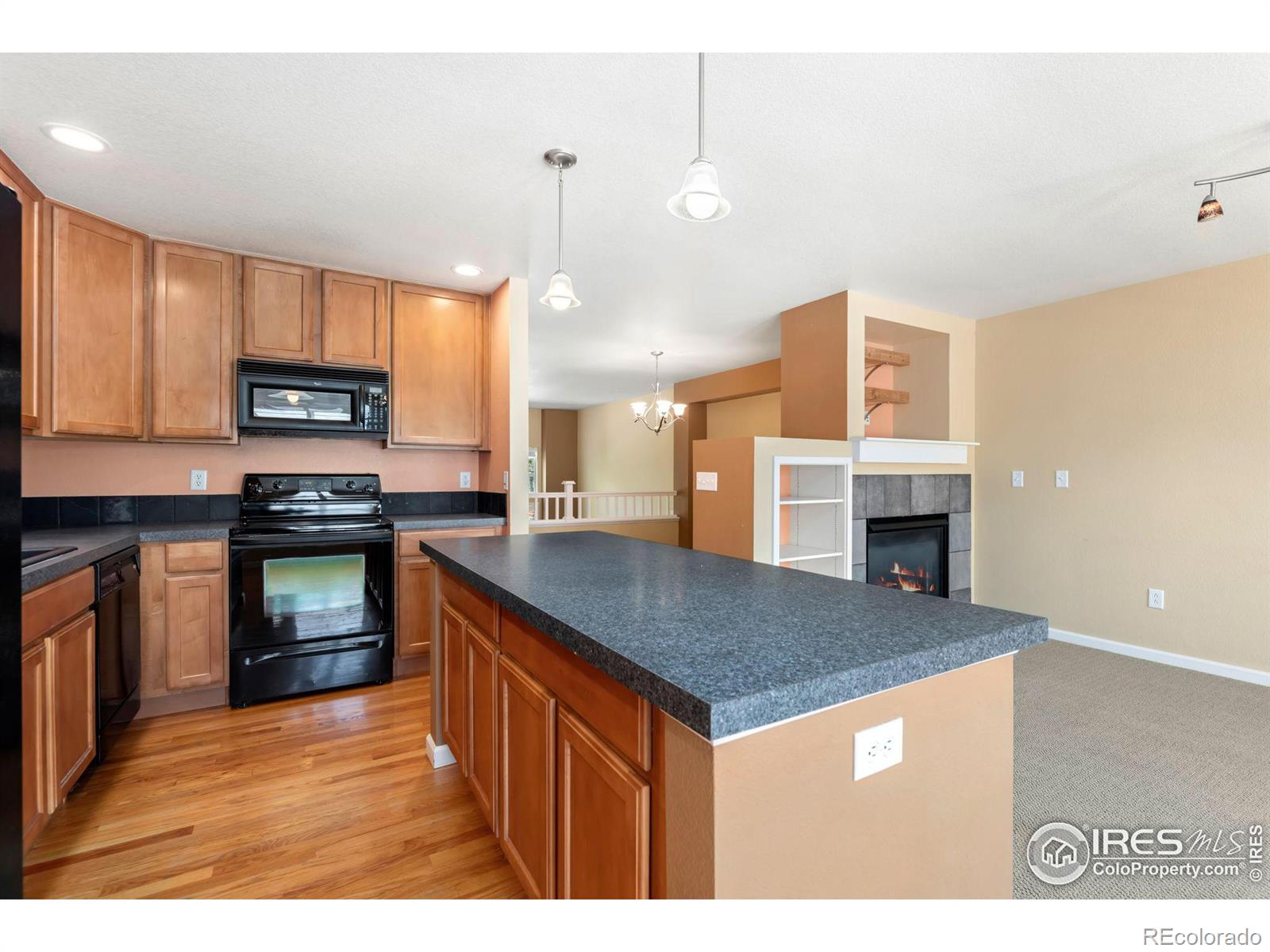 MLS Image #23 for 1993  halfmoon circle,loveland, Colorado