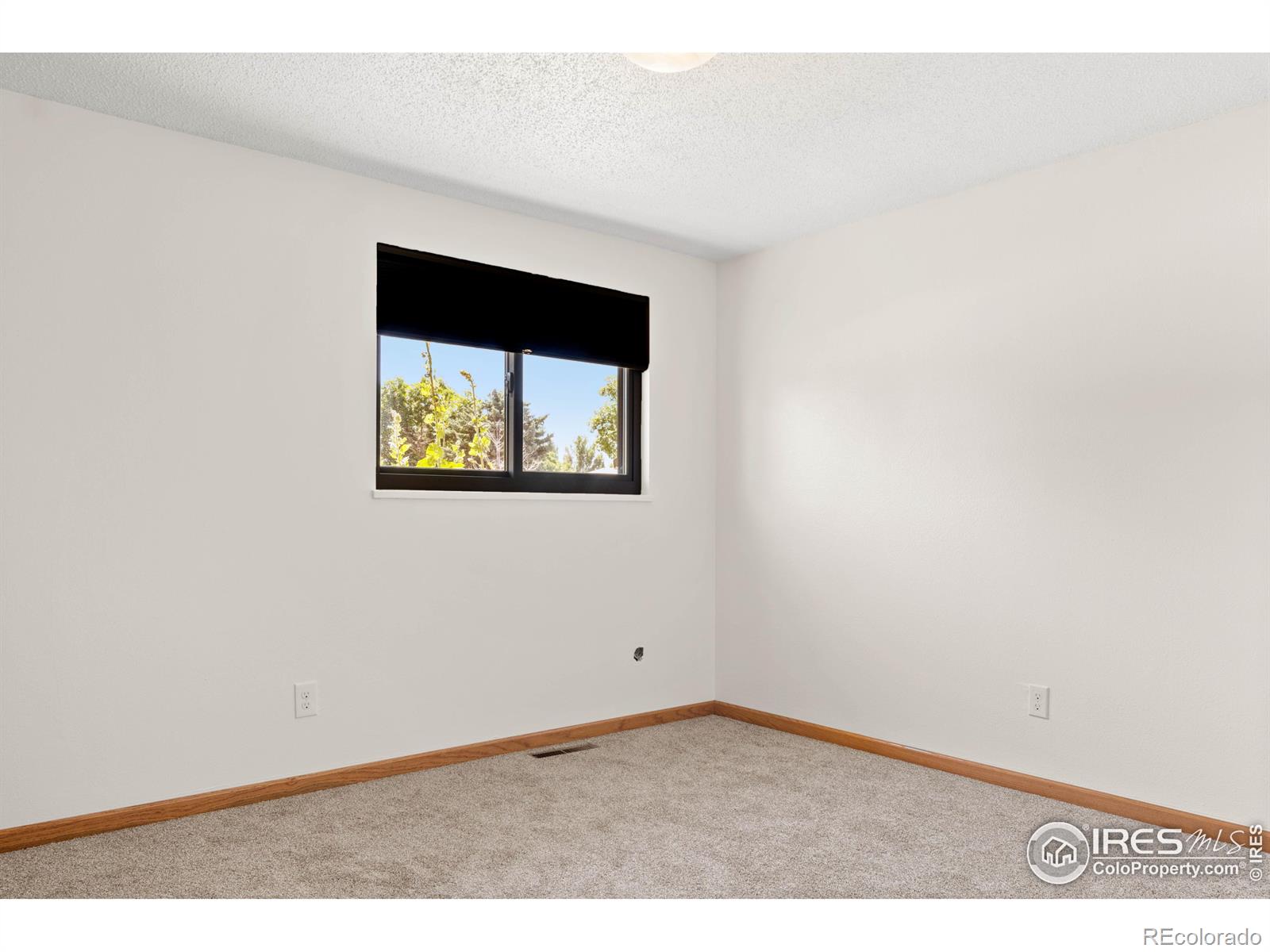 MLS Image #13 for 2521  fairplay drive,loveland, Colorado