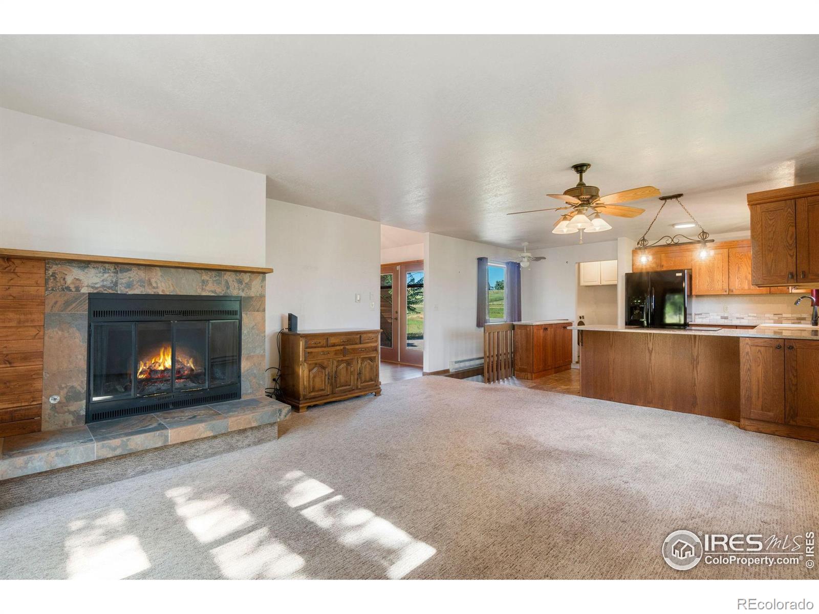 MLS Image #6 for 12456 n pine vista trail,parker, Colorado