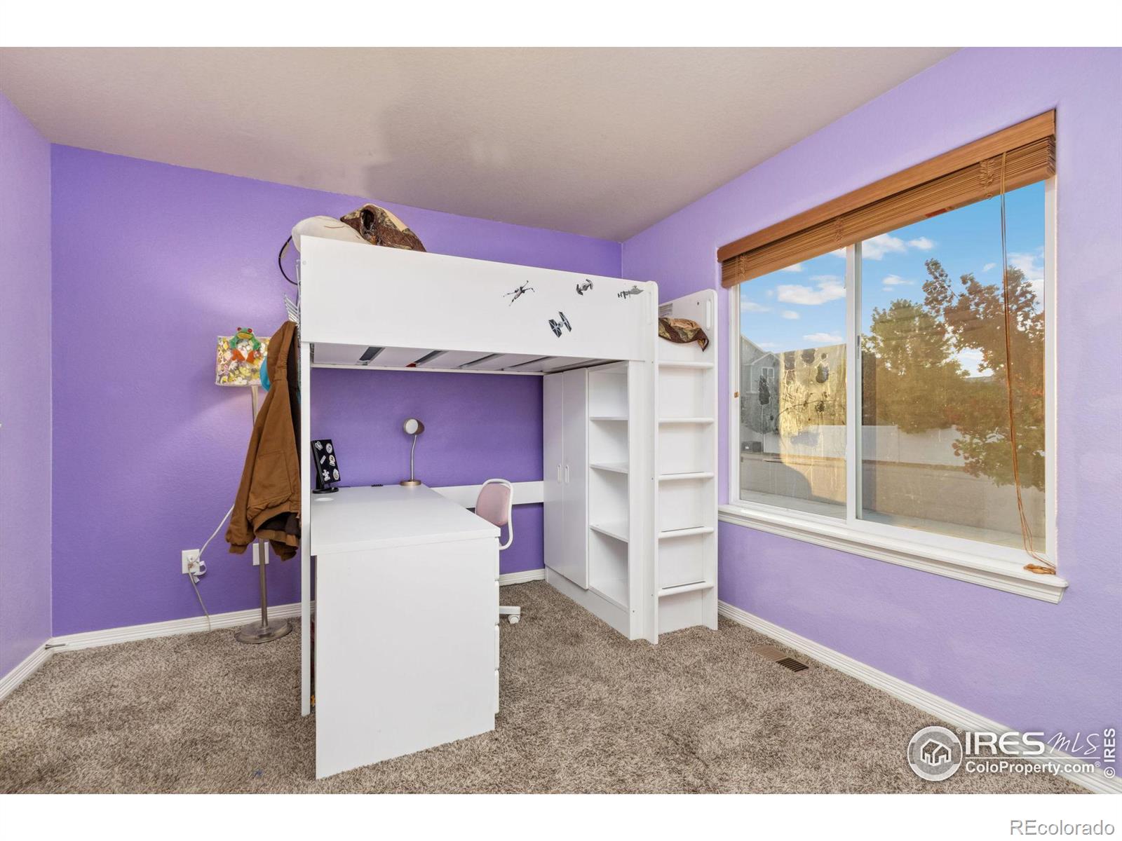 MLS Image #18 for 2750  pictor street,loveland, Colorado