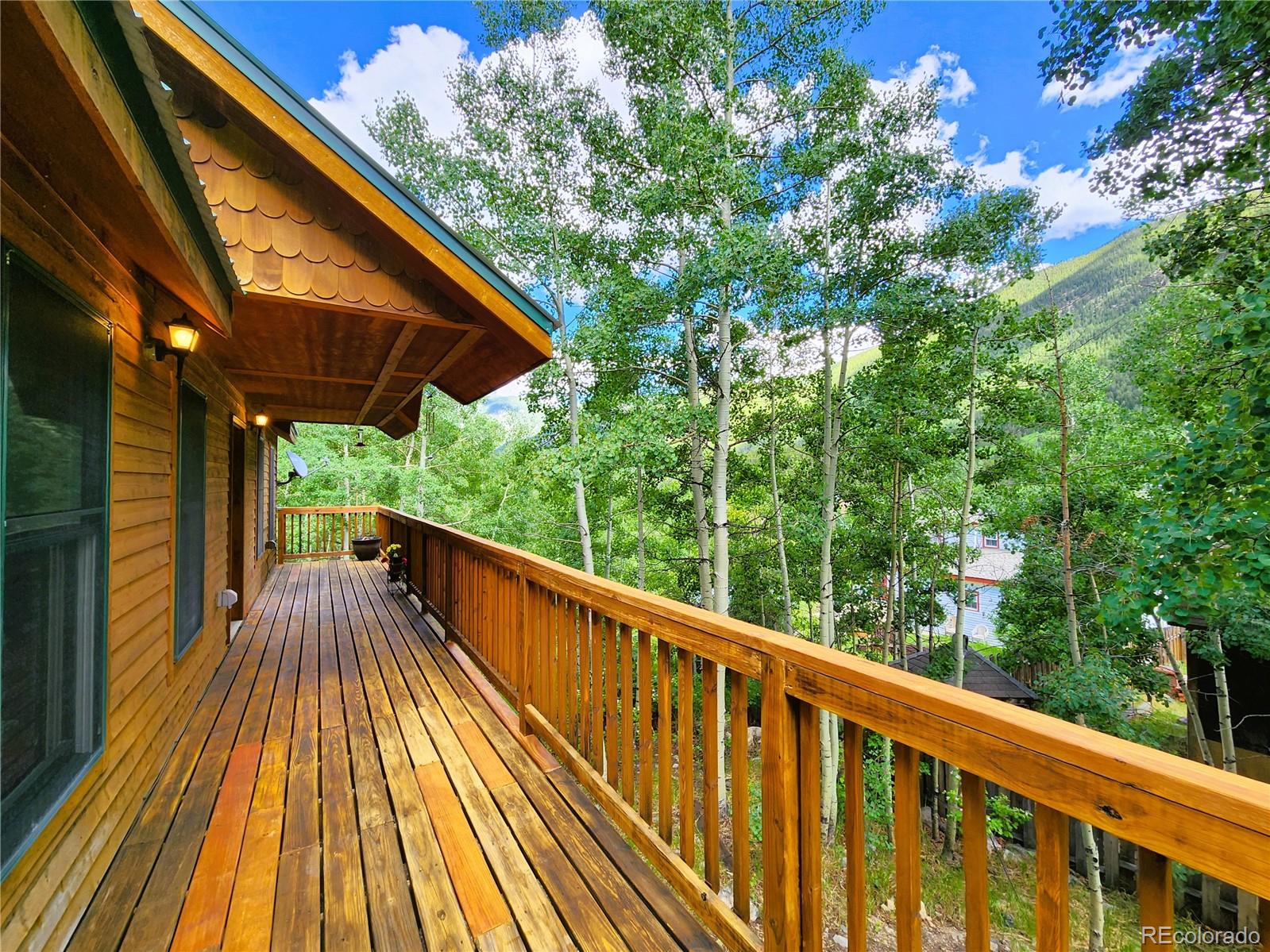 MLS Image #39 for 820  silver street,silver plume, Colorado