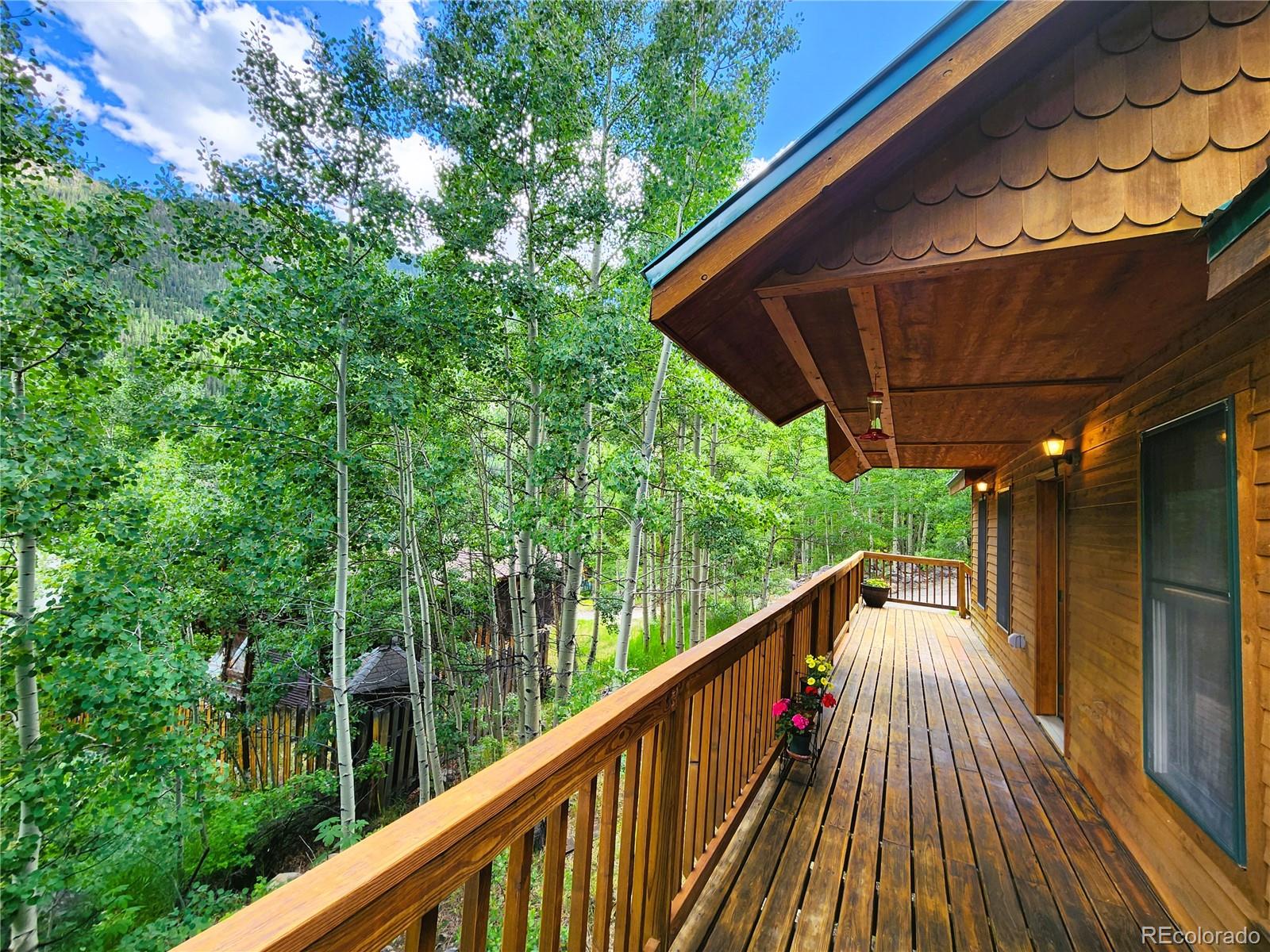 MLS Image #5 for 820  silver street,silver plume, Colorado