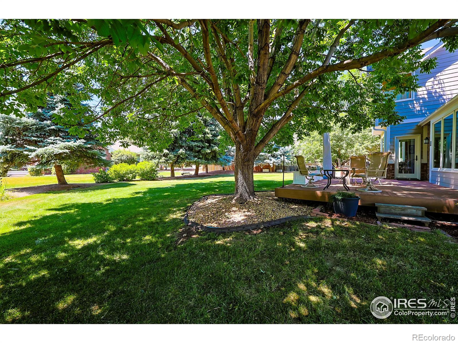 MLS Image #30 for 2051  amethyst drive,longmont, Colorado