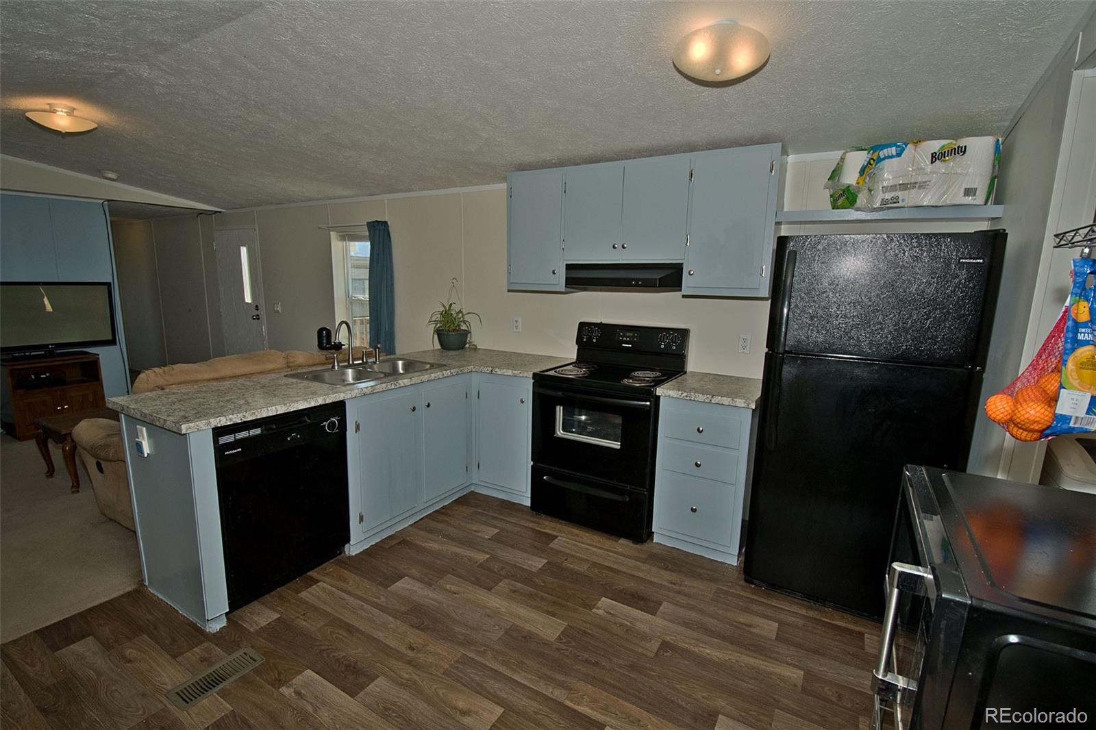 MLS Image #11 for 69  diablo court,moffat, Colorado