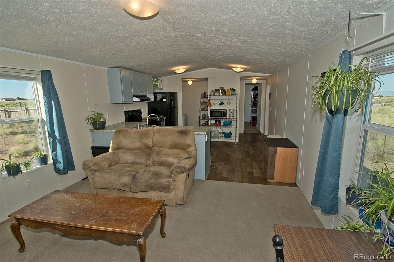 MLS Image #9 for 69  diablo court,moffat, Colorado