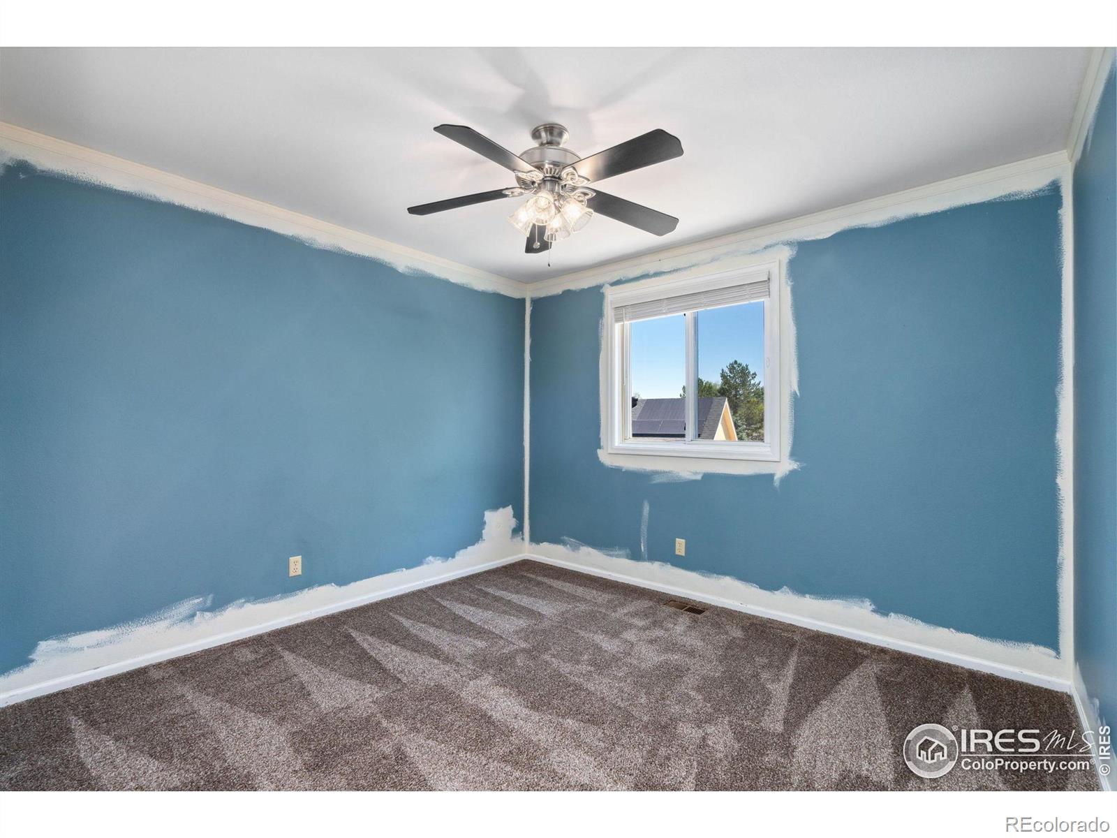 MLS Image #21 for 1725  flemming drive,longmont, Colorado