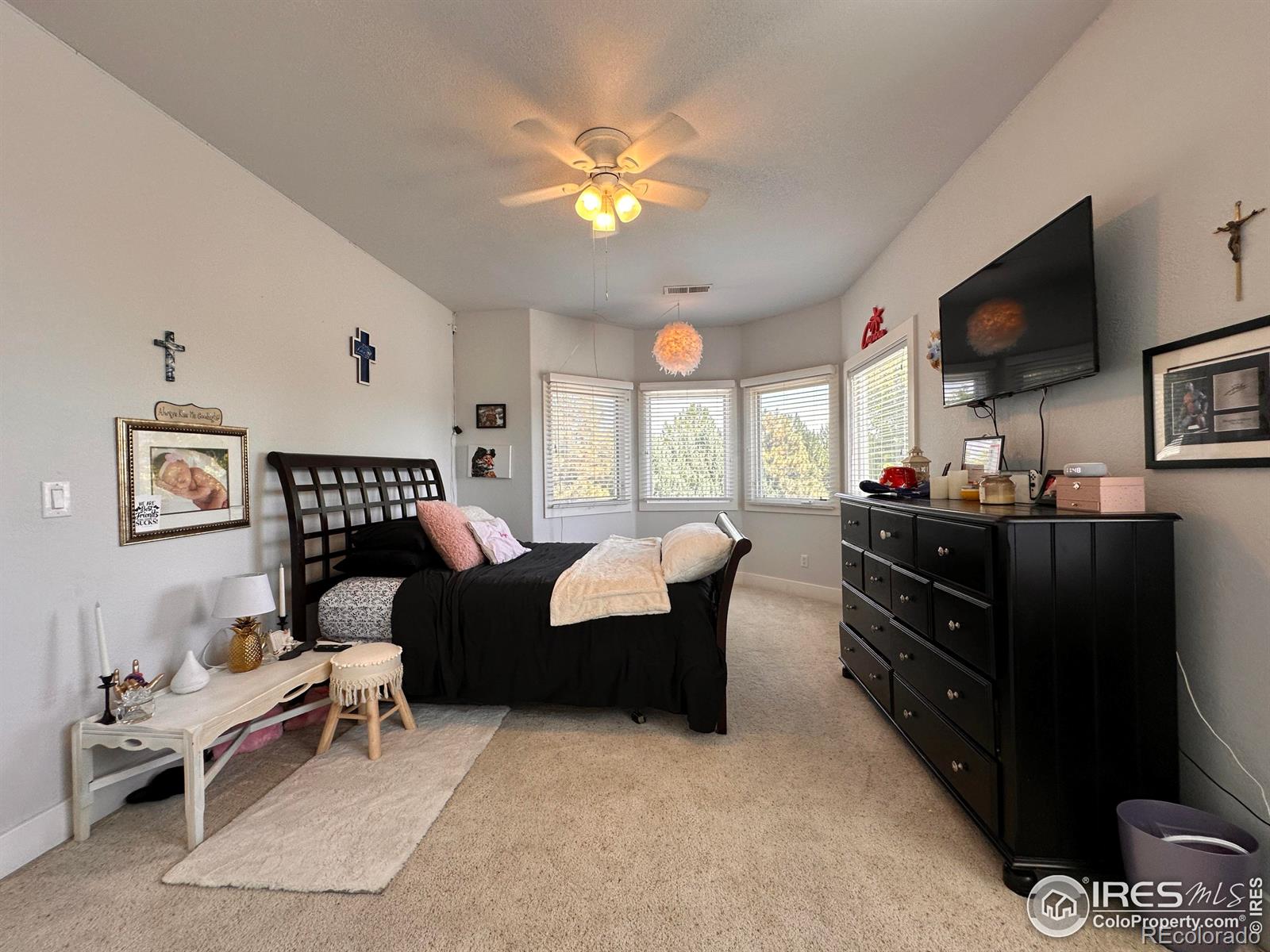 MLS Image #29 for 518  pelican cove,windsor, Colorado