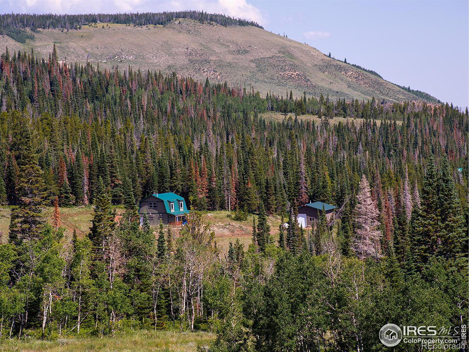 MLS Image #0 for 1189  mountain ridge road,red feather lakes, Colorado