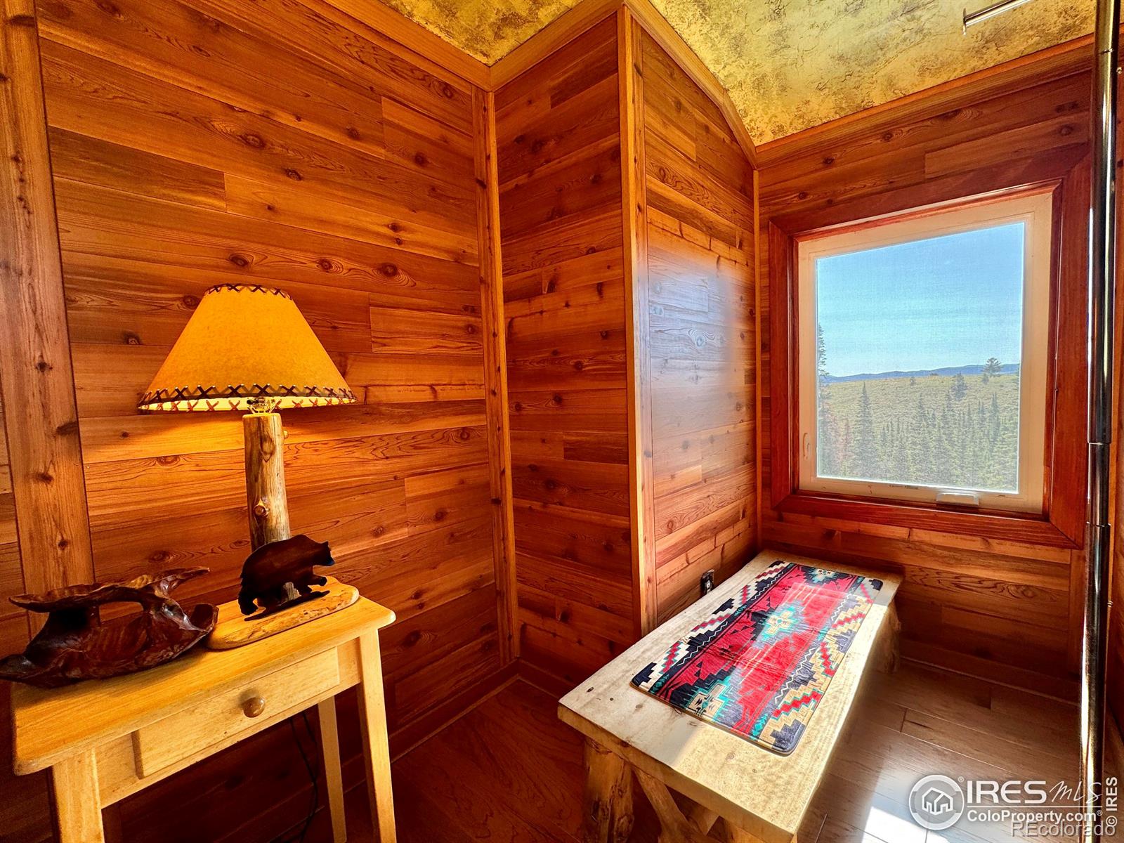 MLS Image #16 for 1189  mountain ridge road,red feather lakes, Colorado