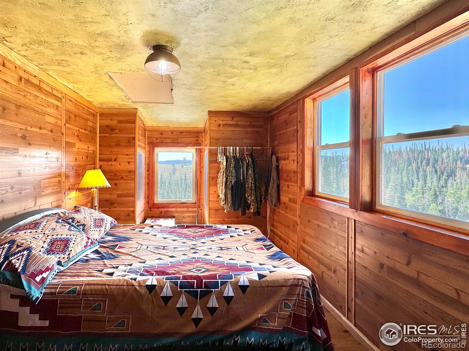 MLS Image #17 for 1189  mountain ridge road,red feather lakes, Colorado