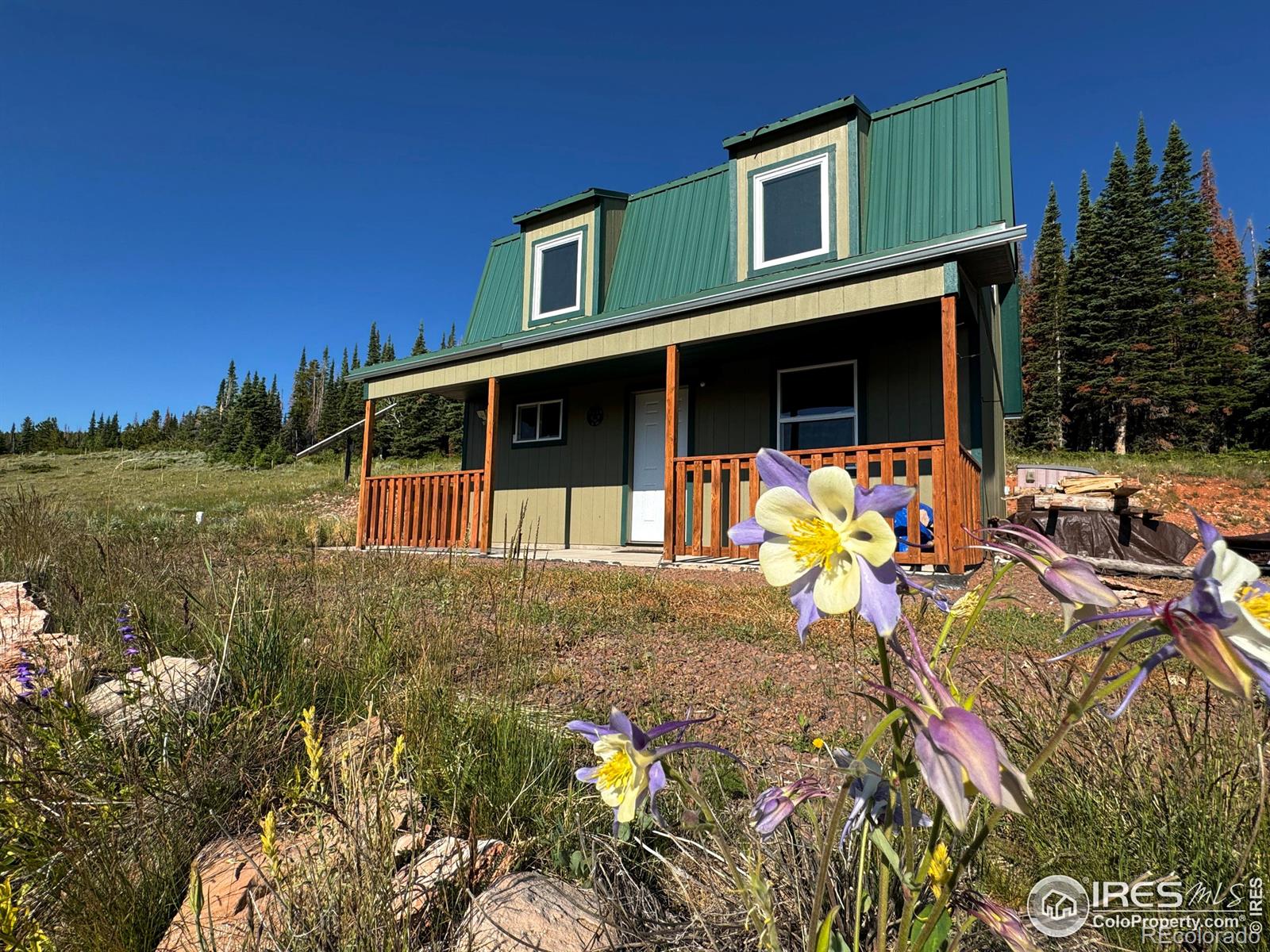 MLS Image #2 for 1189  mountain ridge road,red feather lakes, Colorado