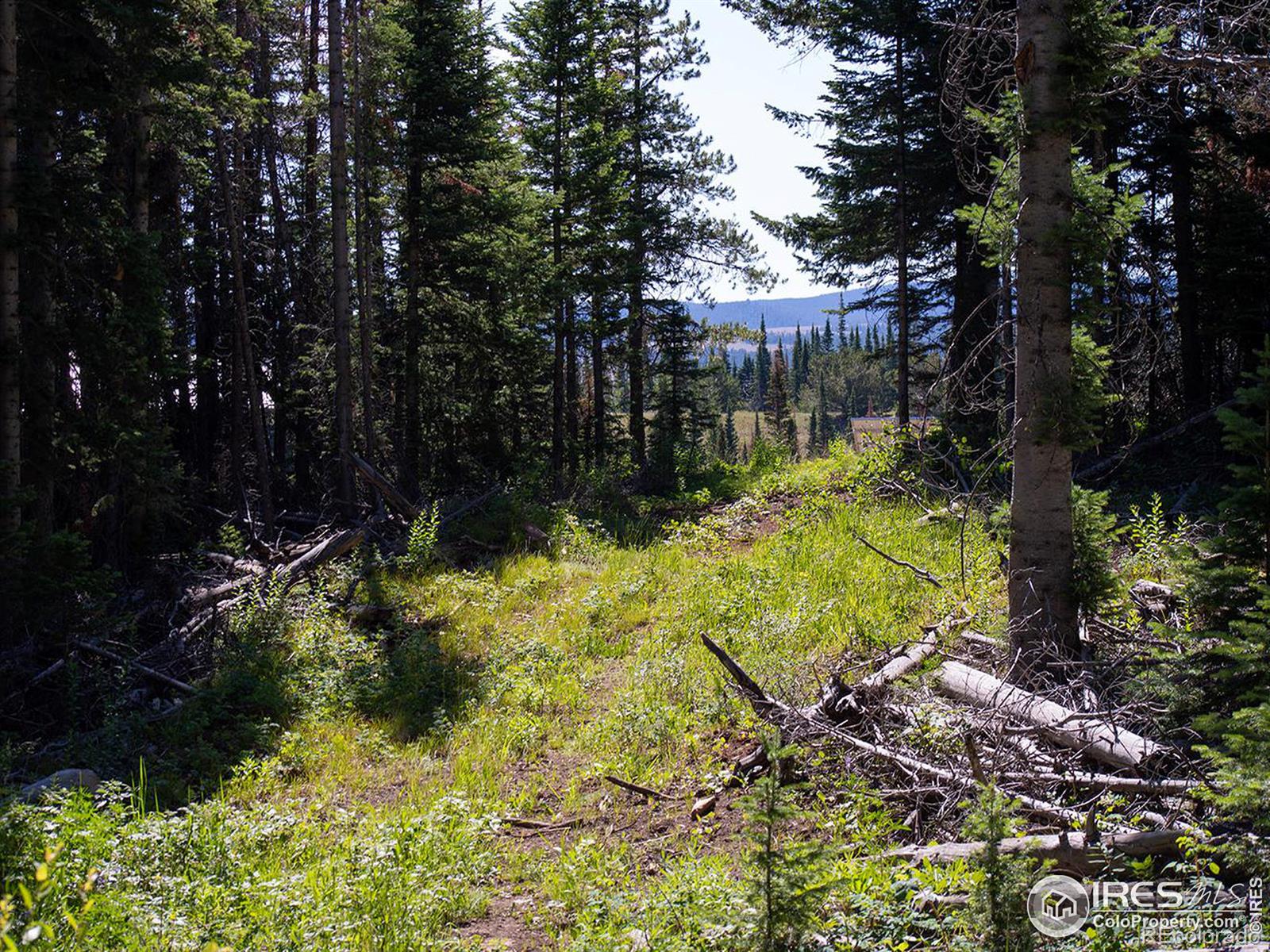 MLS Image #26 for 1189  mountain ridge road,red feather lakes, Colorado