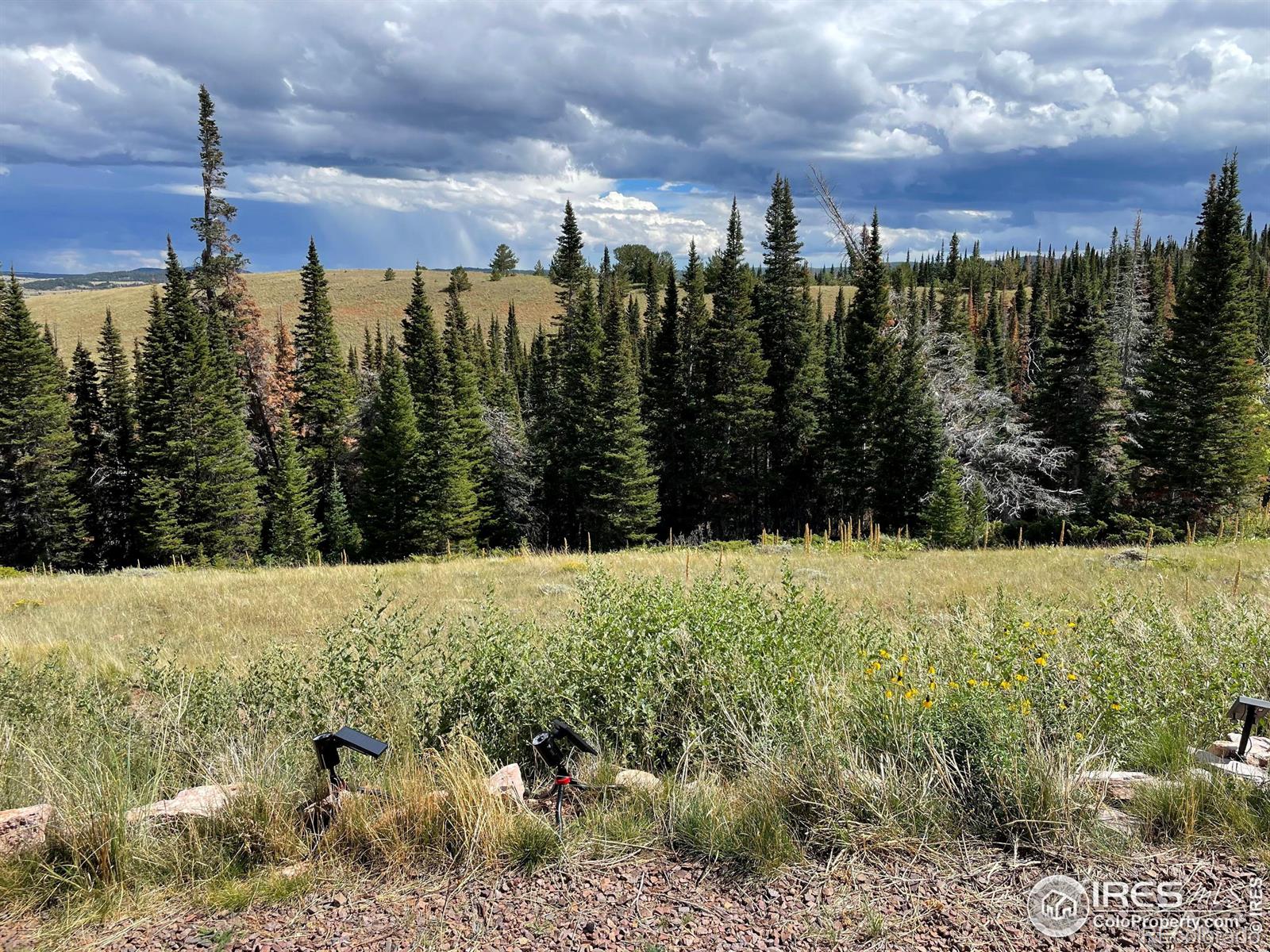 MLS Image #36 for 1189  mountain ridge road,red feather lakes, Colorado