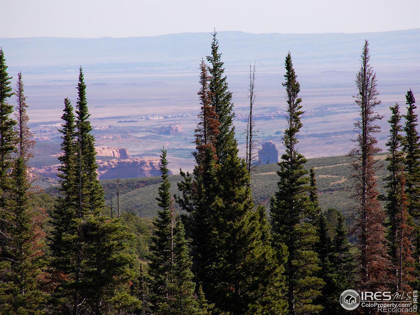 MLS Image #4 for 1189  mountain ridge road,red feather lakes, Colorado