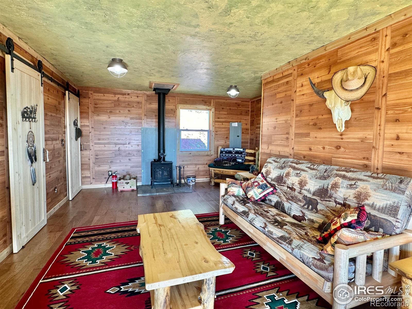 MLS Image #5 for 1189  mountain ridge road,red feather lakes, Colorado