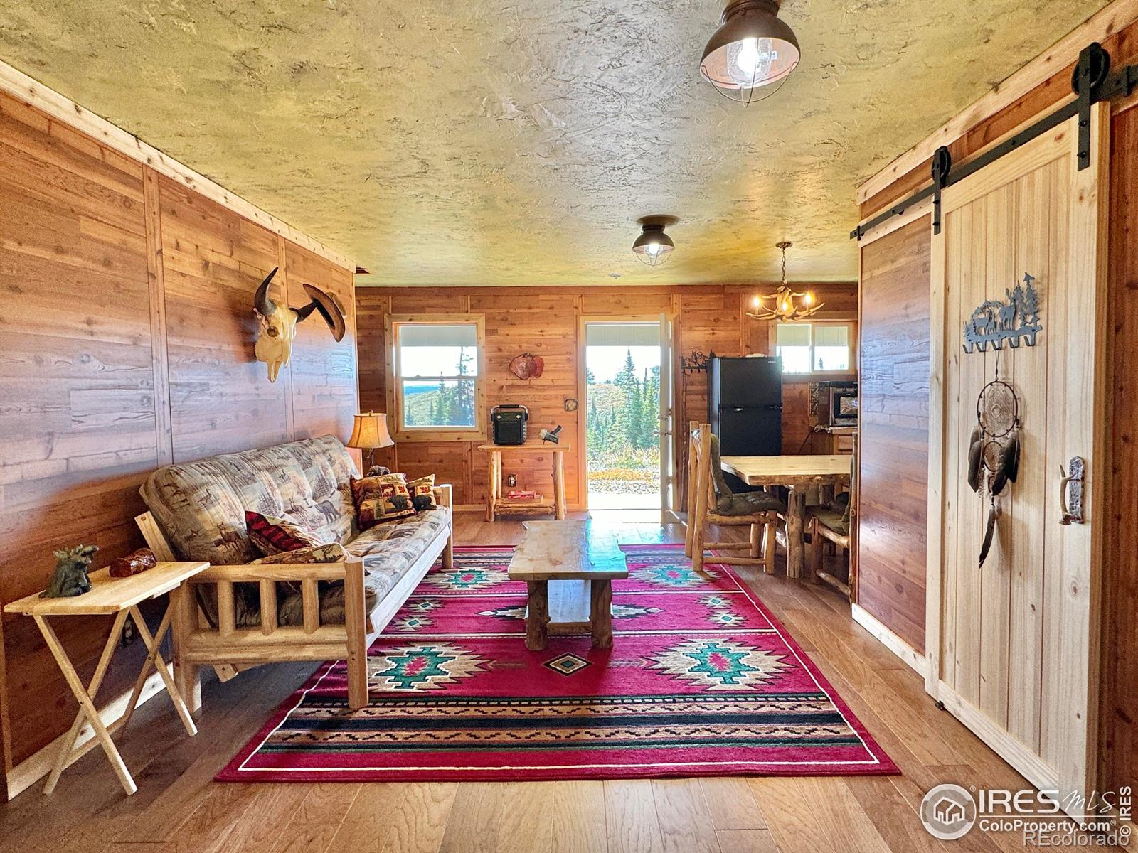 MLS Image #7 for 1189  mountain ridge road,red feather lakes, Colorado