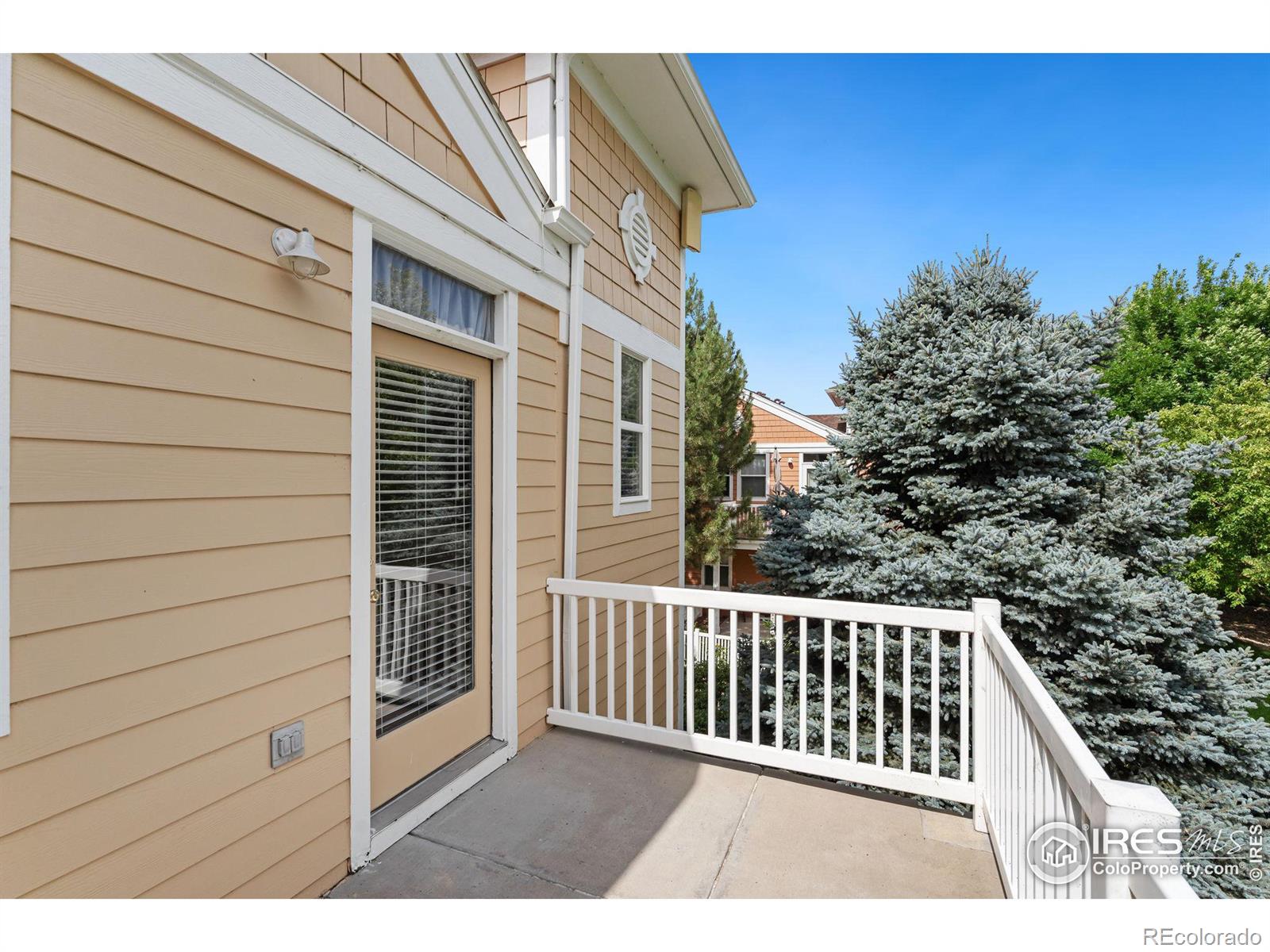 MLS Image #25 for 2019  grays peak drive,loveland, Colorado