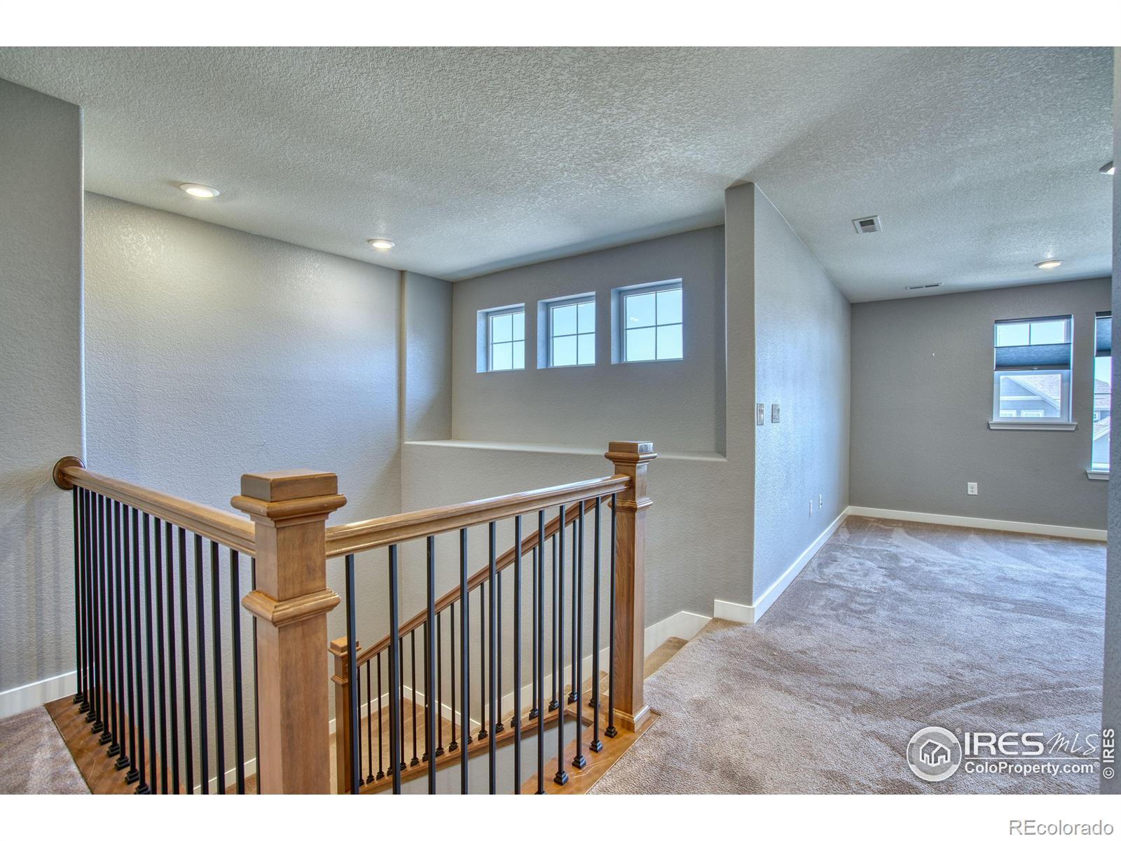 MLS Image #17 for 2224  tyrrhenian circle,longmont, Colorado