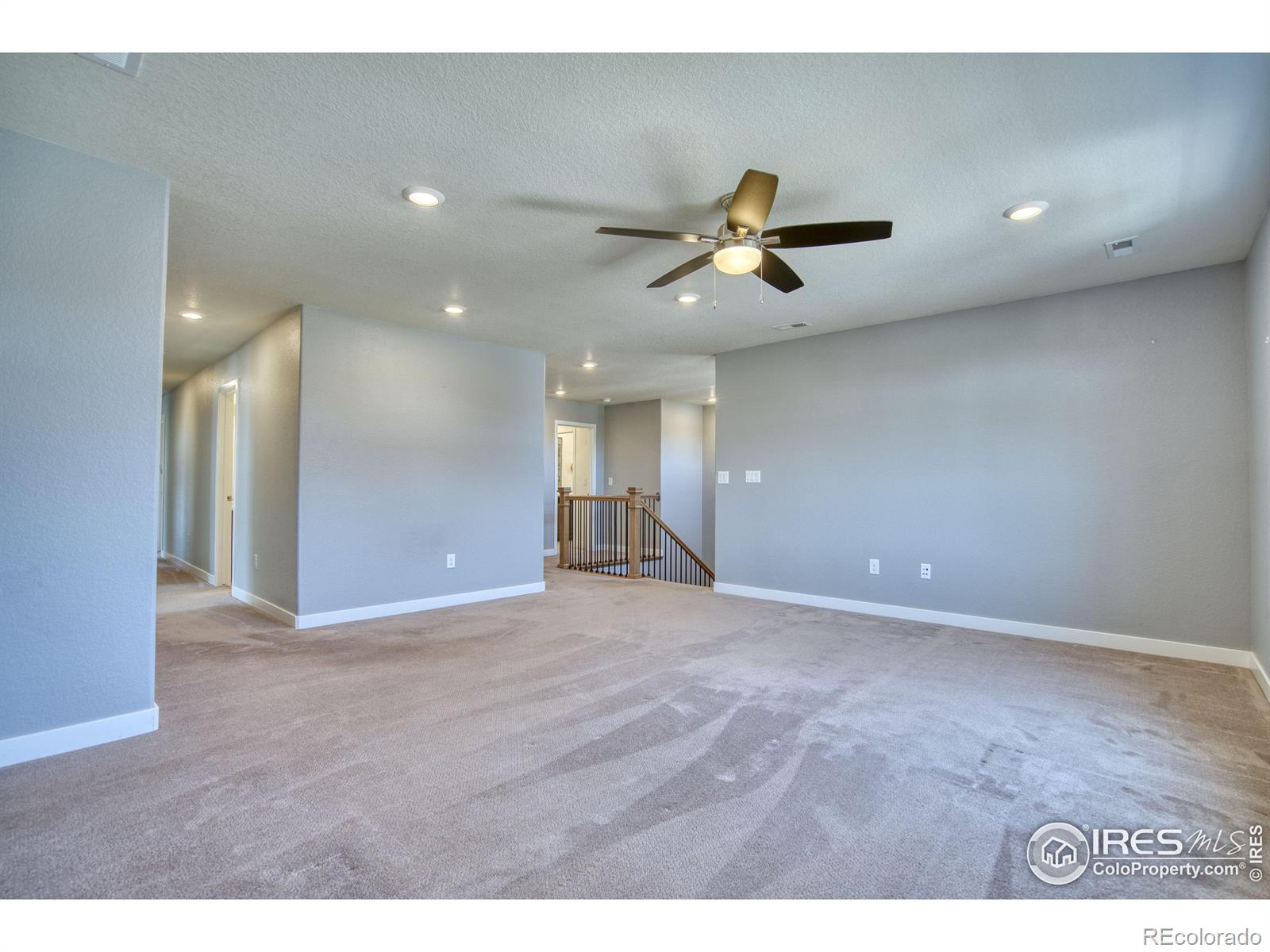 MLS Image #19 for 2224  tyrrhenian circle,longmont, Colorado