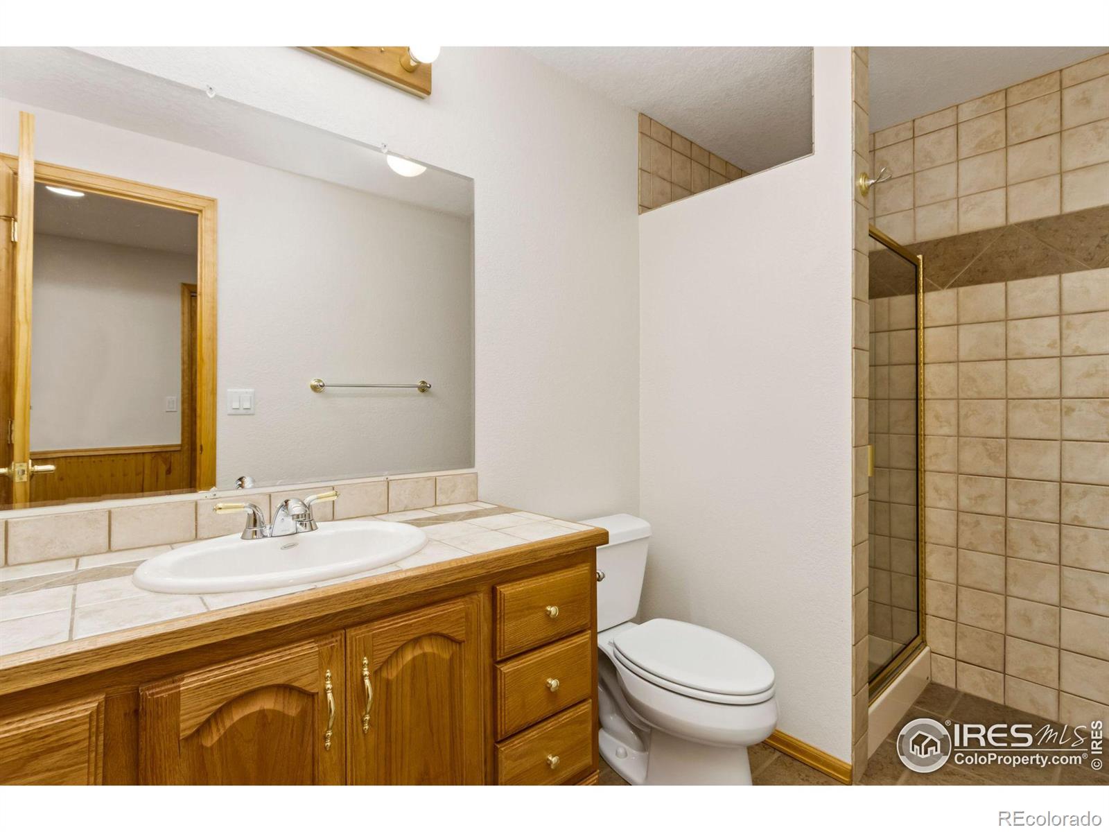 MLS Image #18 for 386  medina court,loveland, Colorado